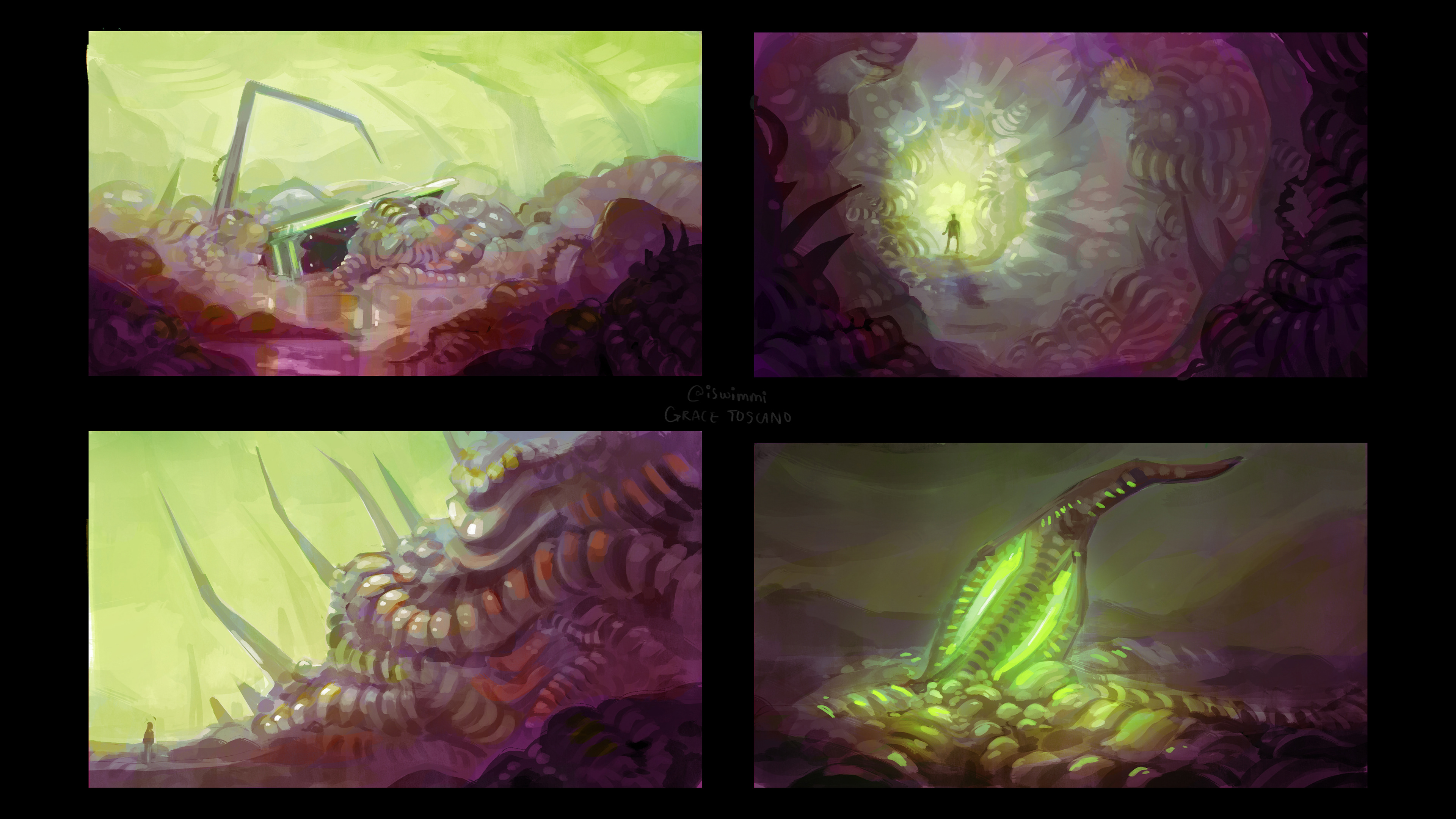 Exterior Color Opt. 3