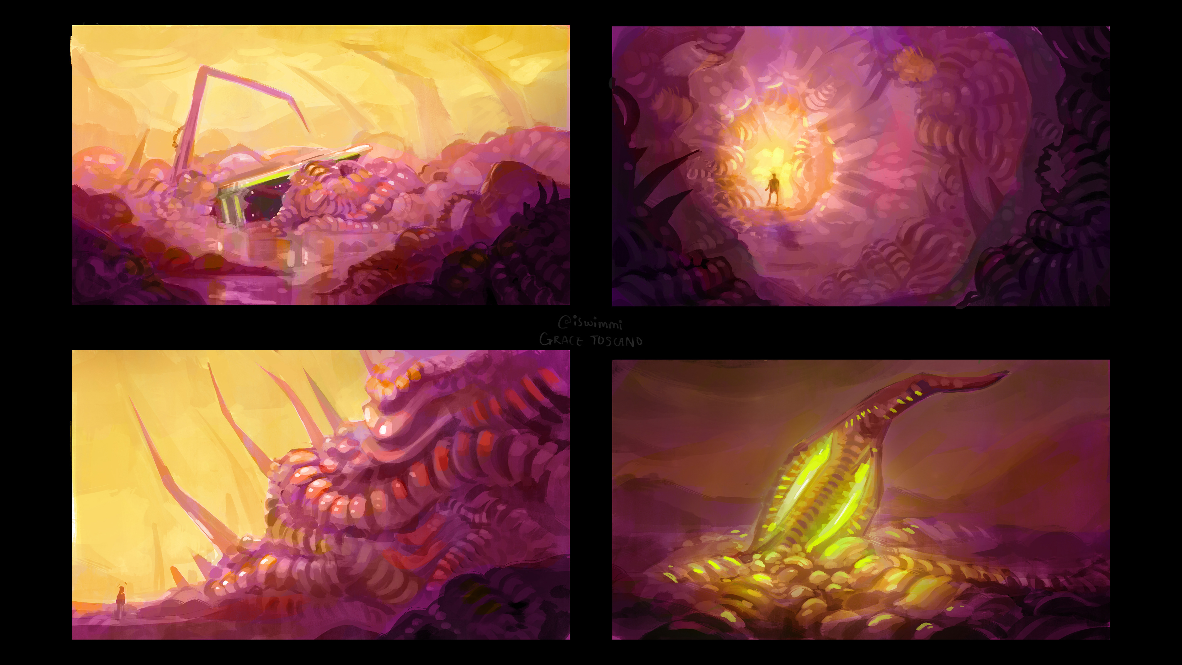 Exterior Color Opt. 1