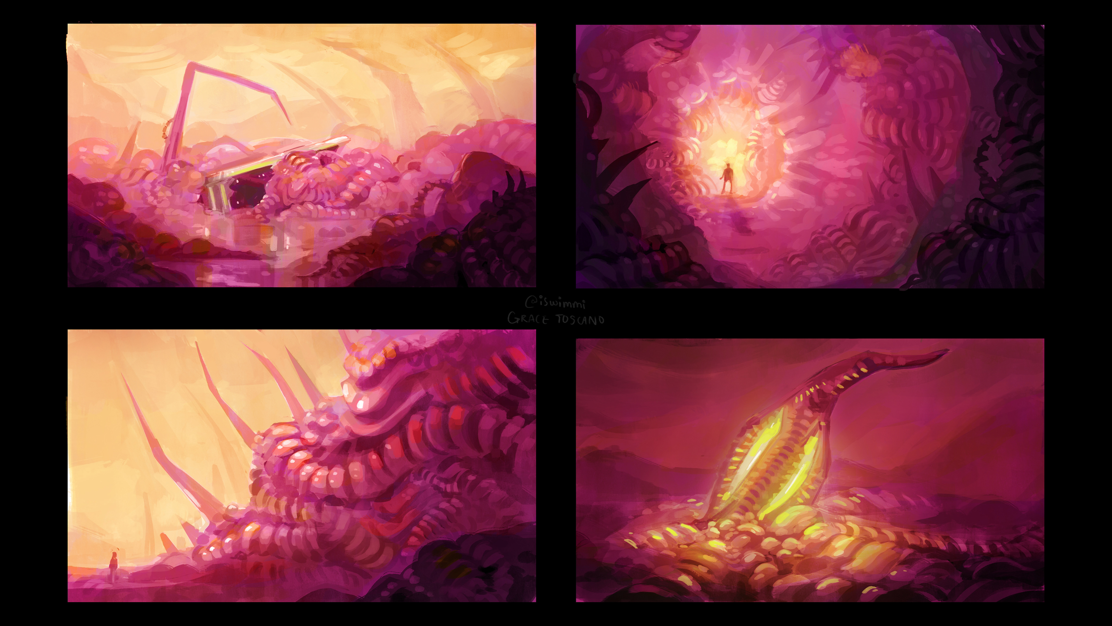 Exterior Color Opt. 4