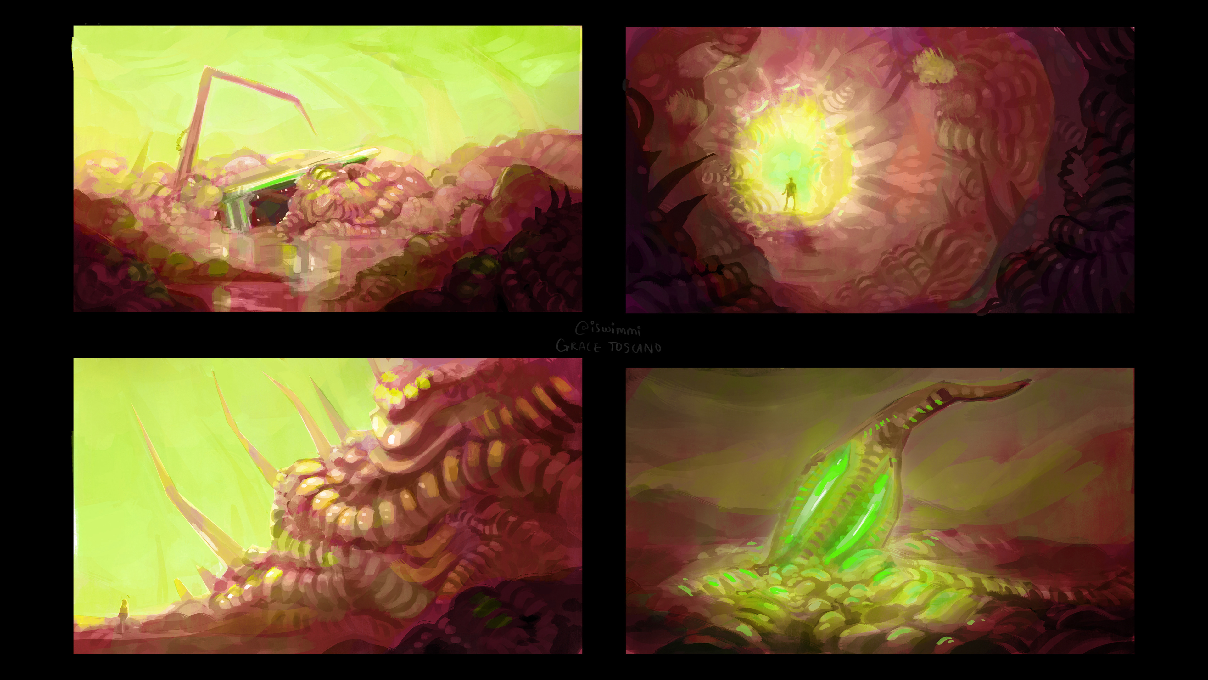 Exterior Color Opt. 2