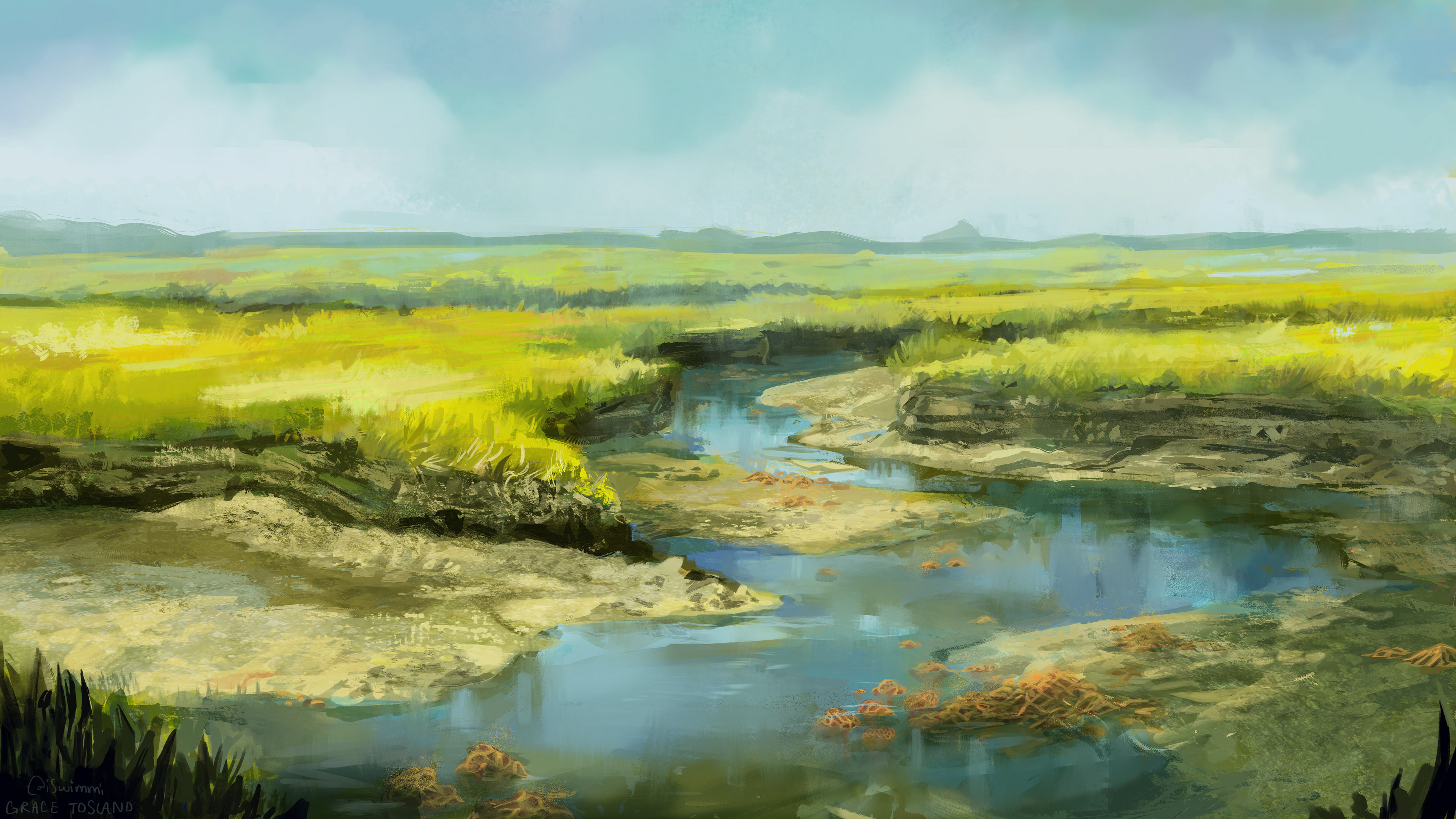 Swamp