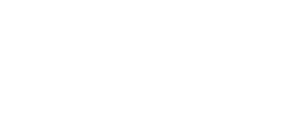 Alessandro Fisslinger