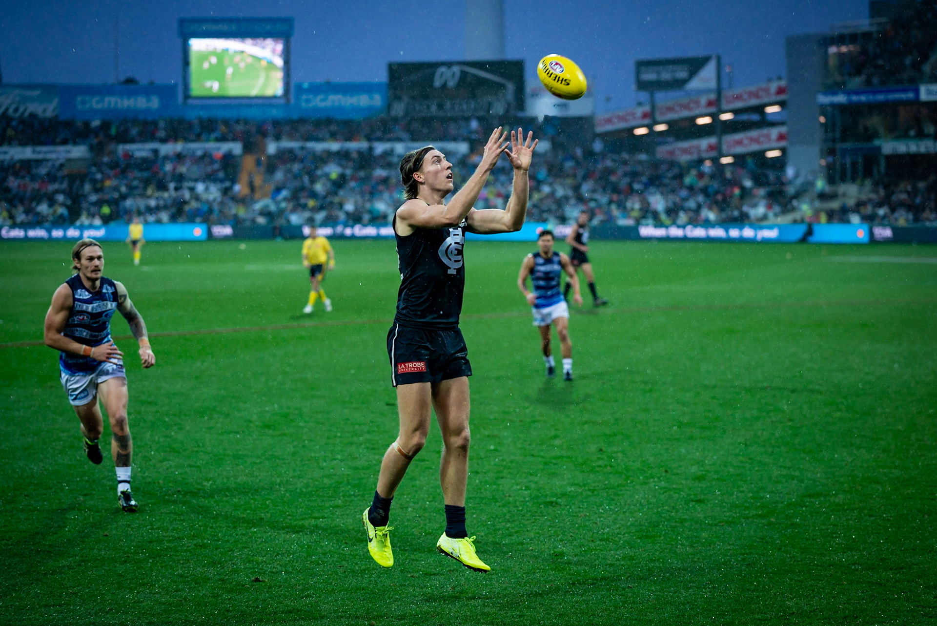 AFL - Will Setterfield - August 24th 2019 - Geelong Vs Carlton, GMHBA Stadium