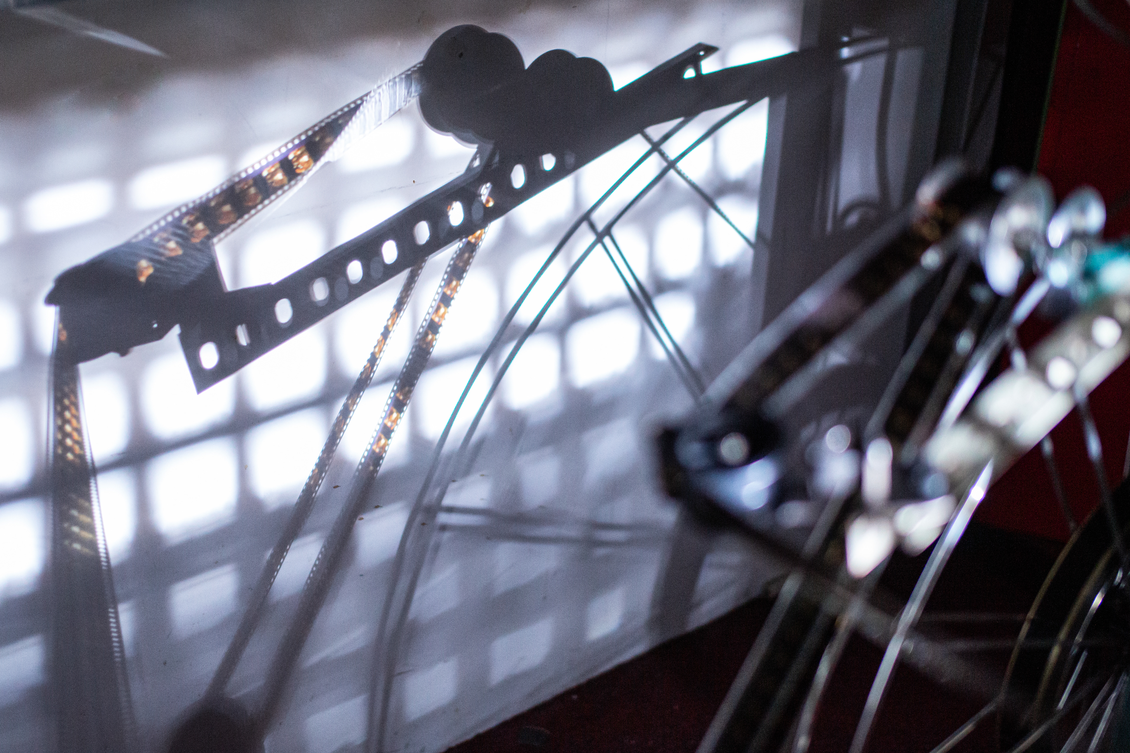 Noordelijk Film Festival