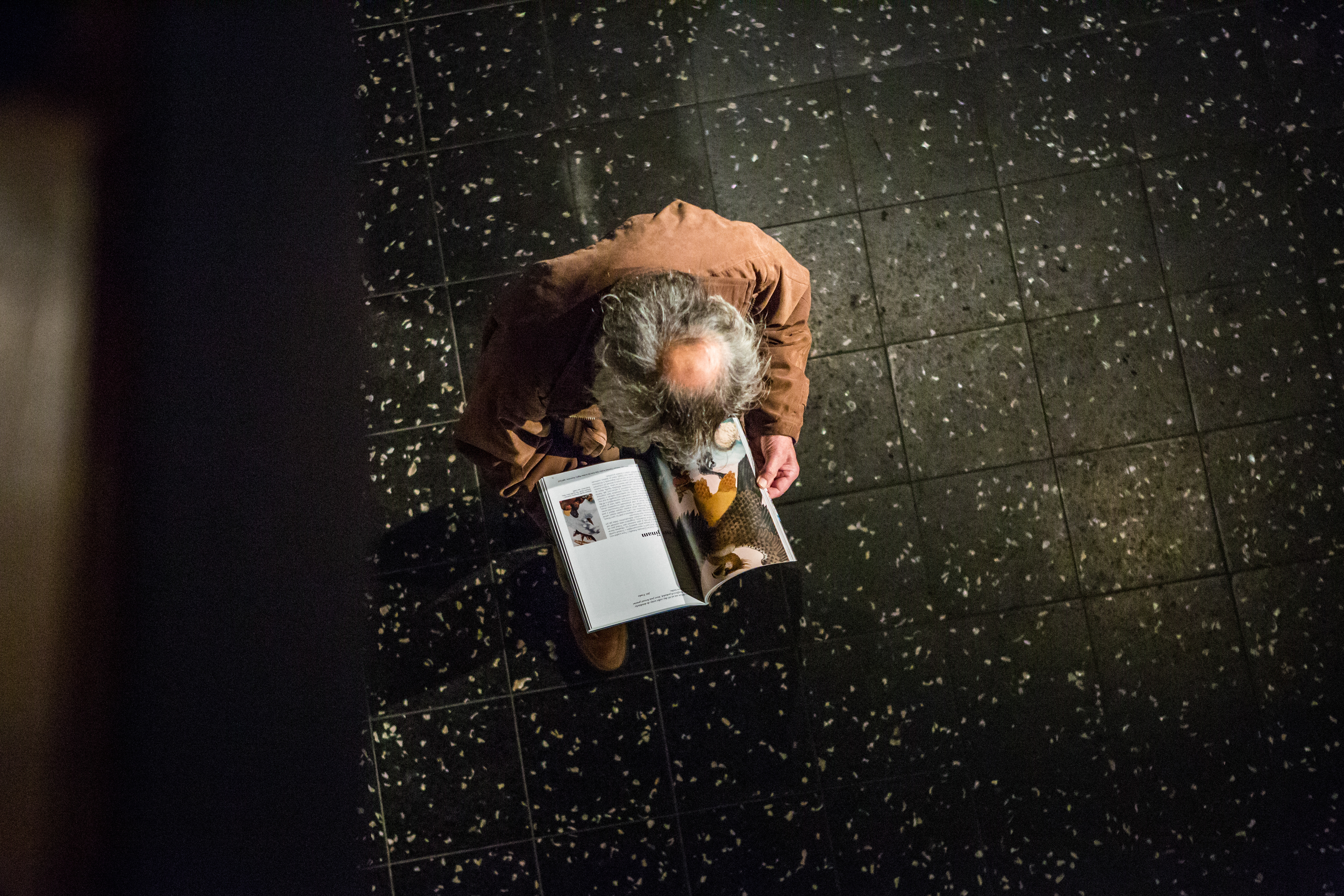 Noordelijk Film Festival