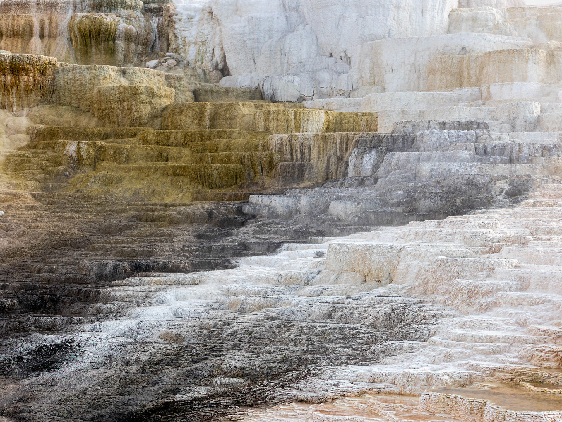 Yellowstone National Park