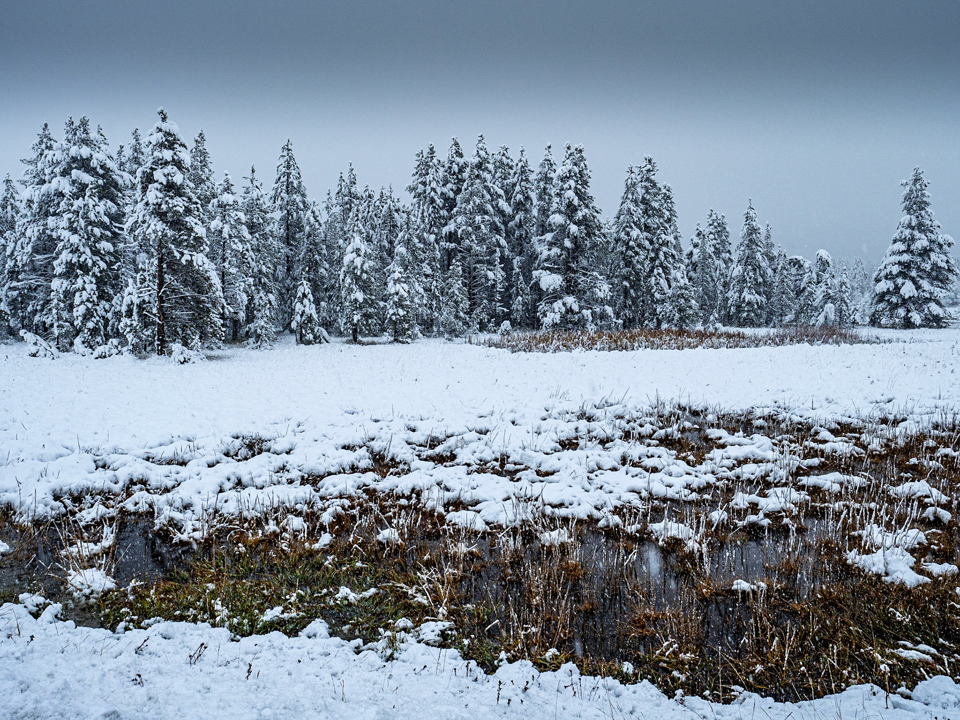Yellowstone National Park