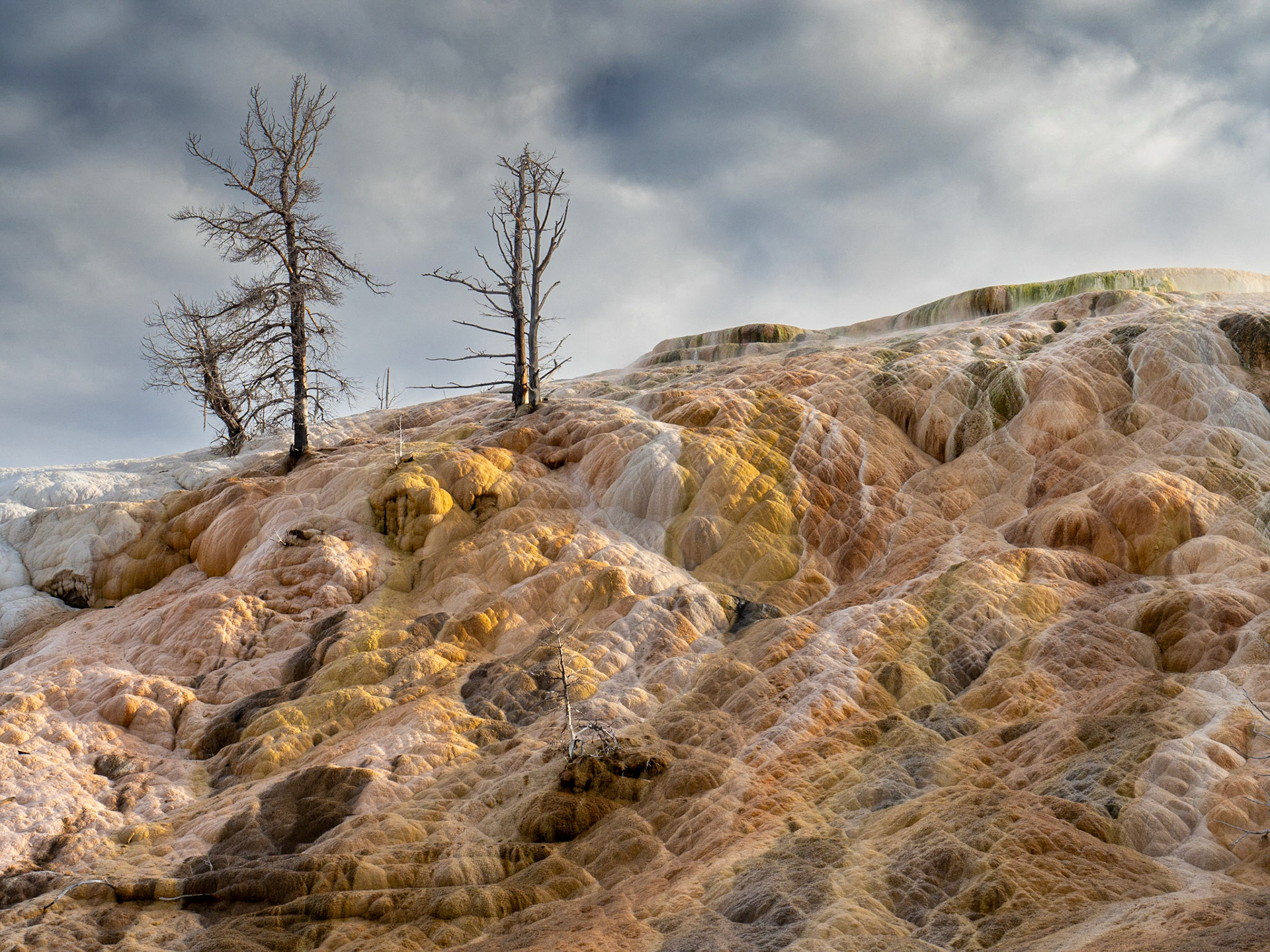 Yellowstone National Park