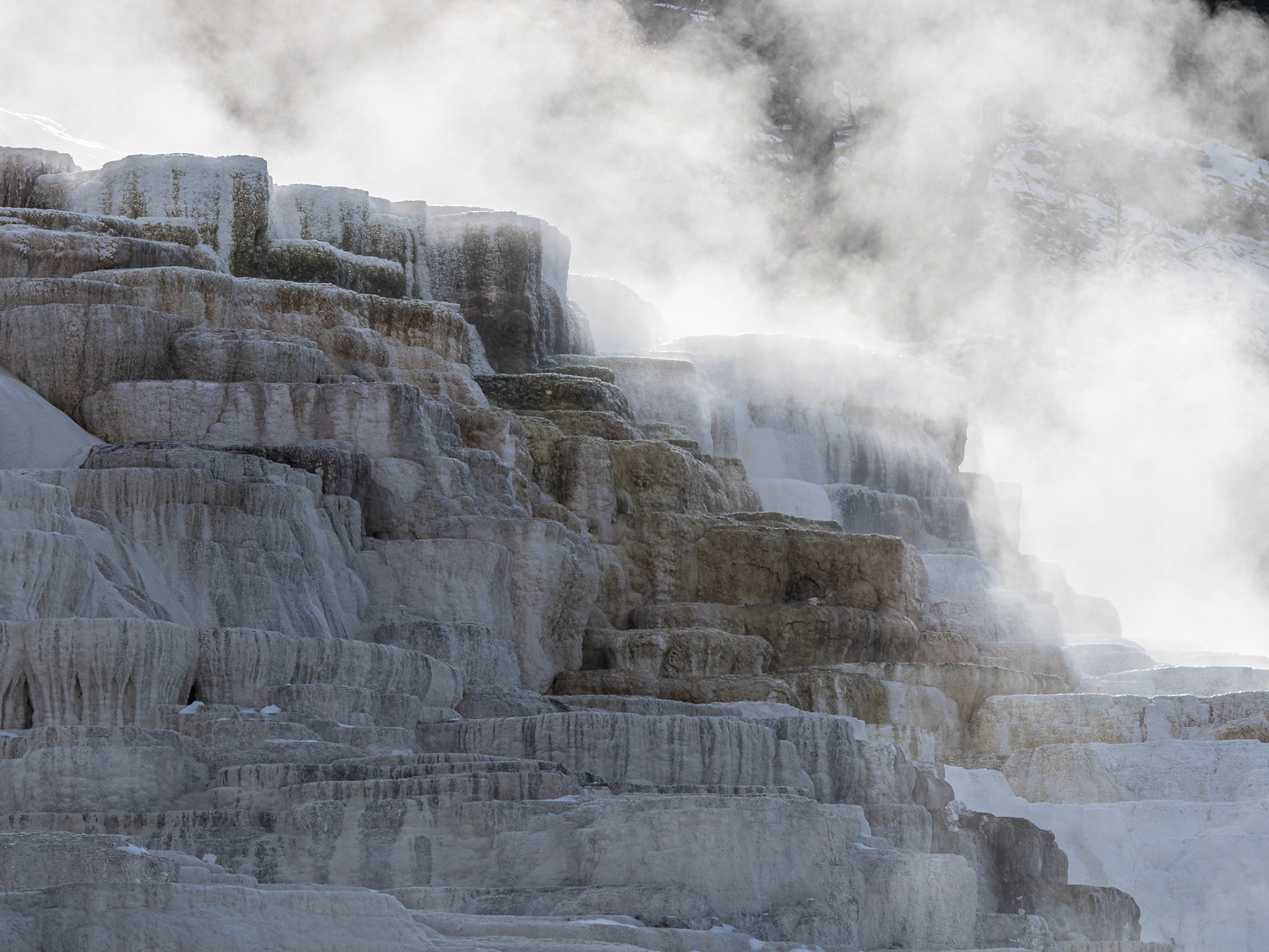 Yellowstone National Park