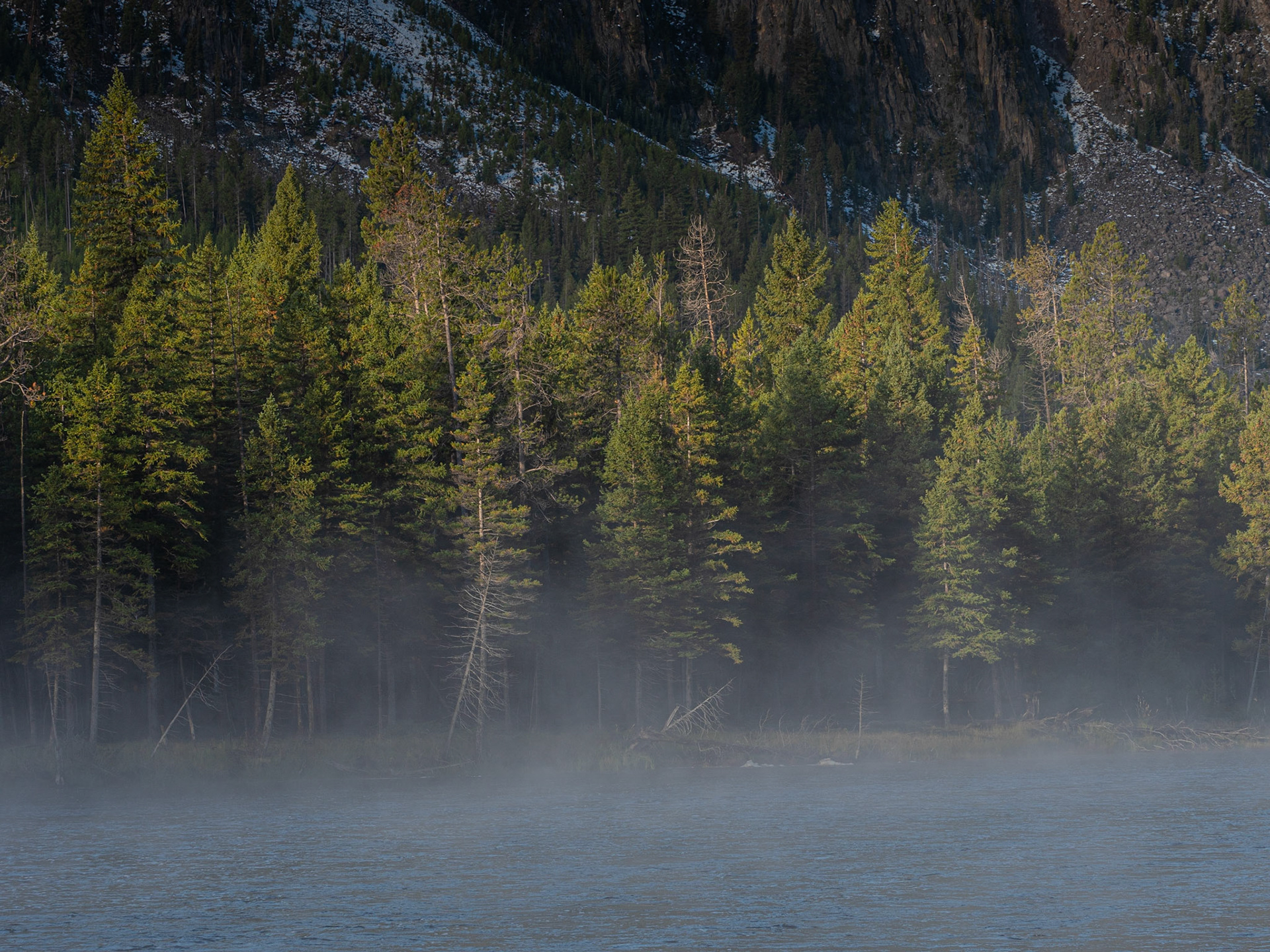 Yellowstone National Park