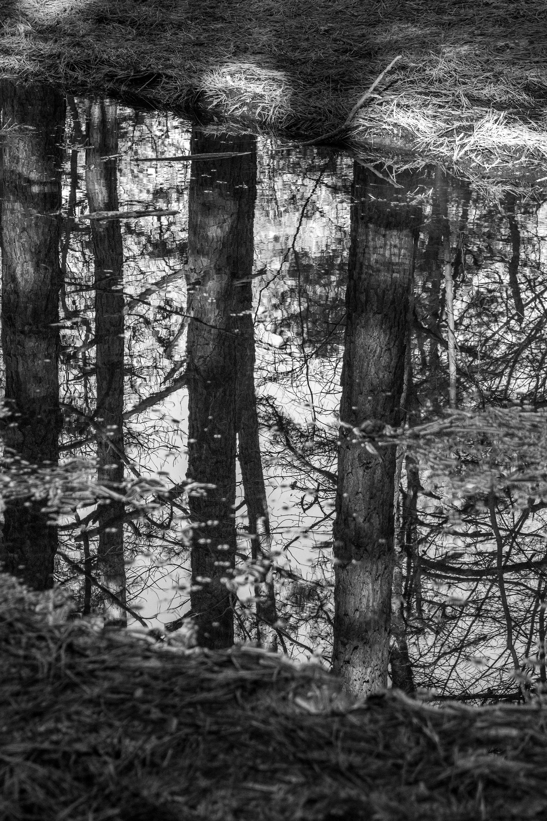 Emily Schopfer© | Mirror Images