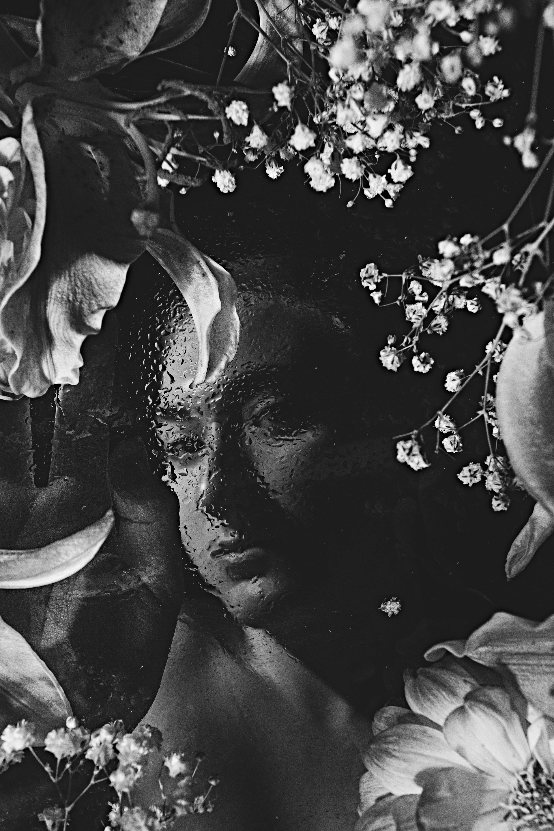 ©Emily Ann Schopfer | Creation of an Artist "Growing Pains"