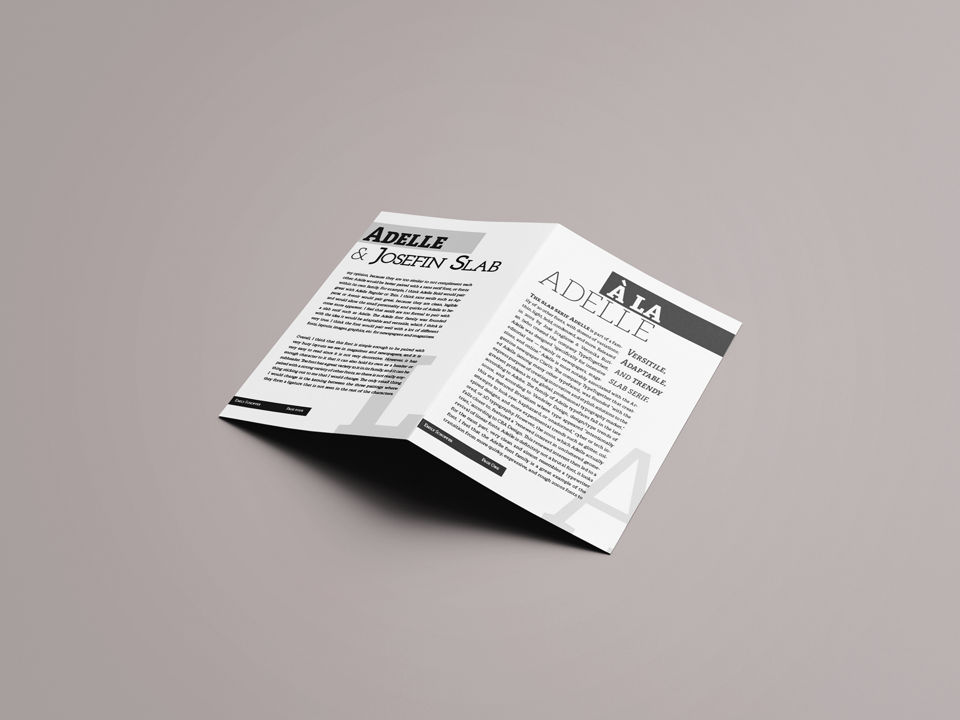 ©Emily Schopfer | Typeface Spread created in Adobe InDesign
