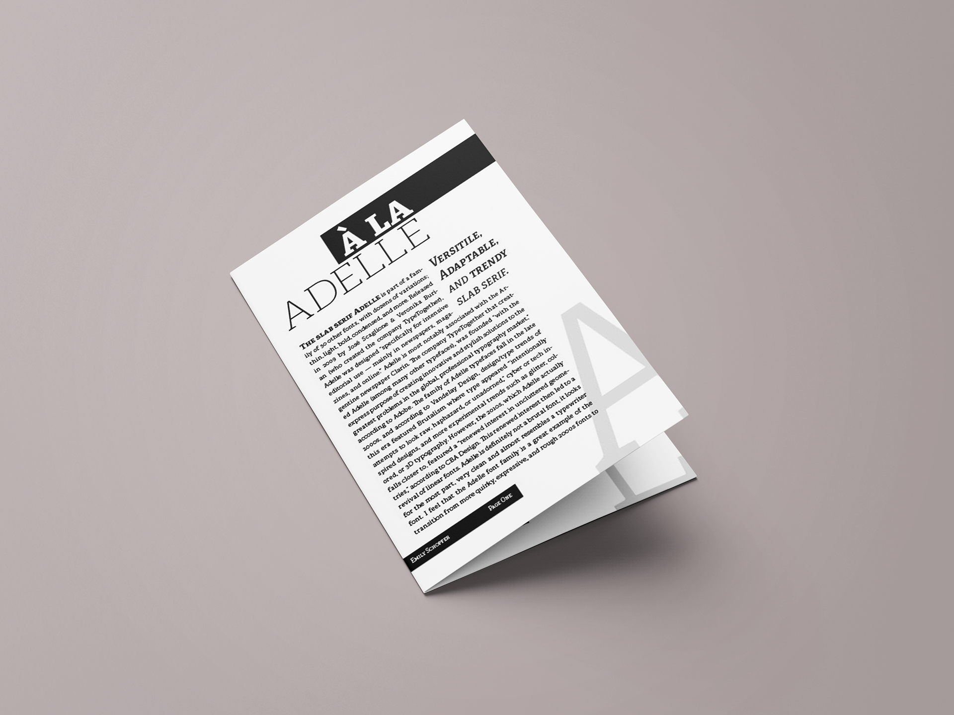 ©Emily Schopfer | Typeface Spread created in Adobe InDesign