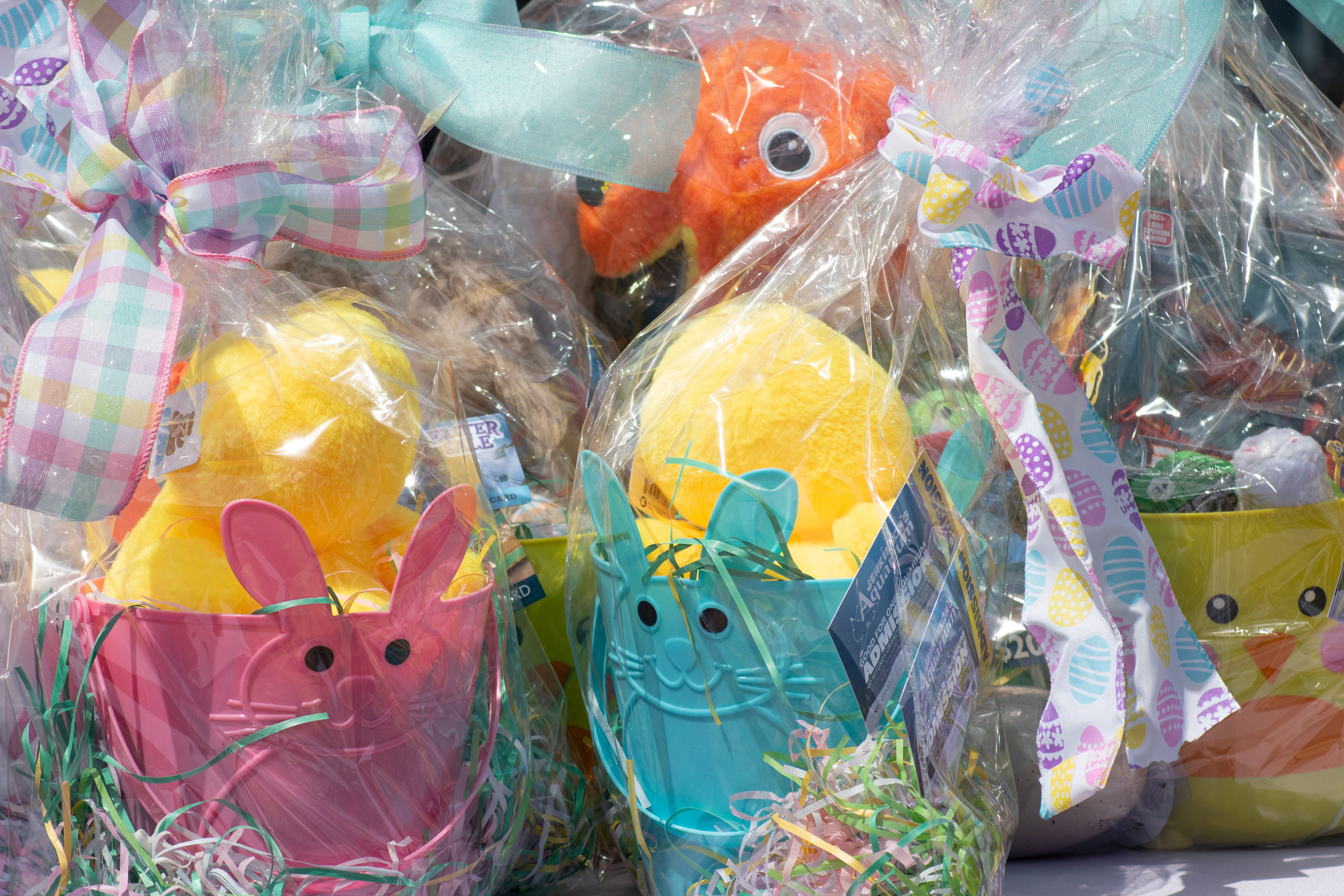 Point Pleasant Easter Parade 4/25/25 for The Ocean Star