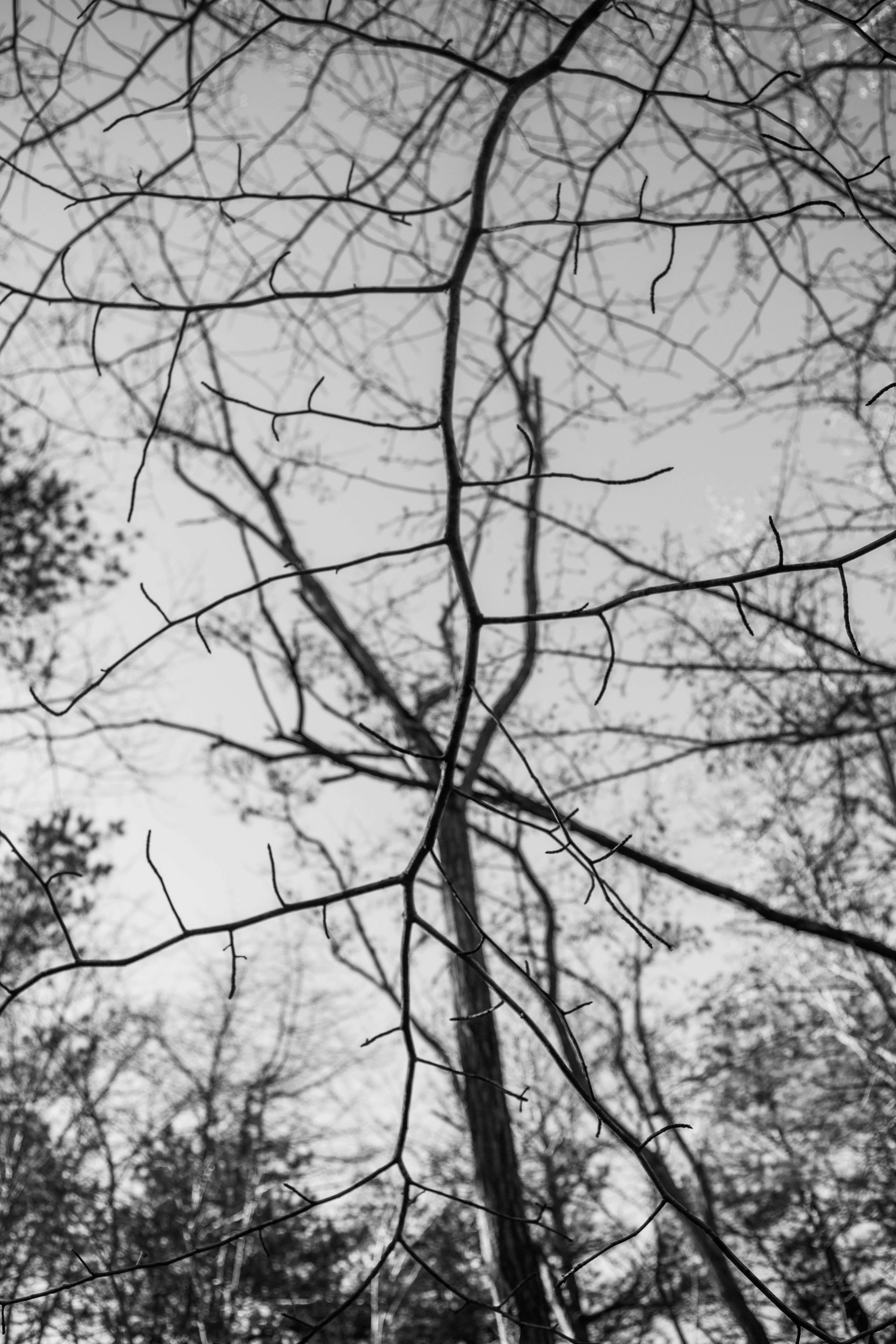 Emily Schopfer© | Mirror Images