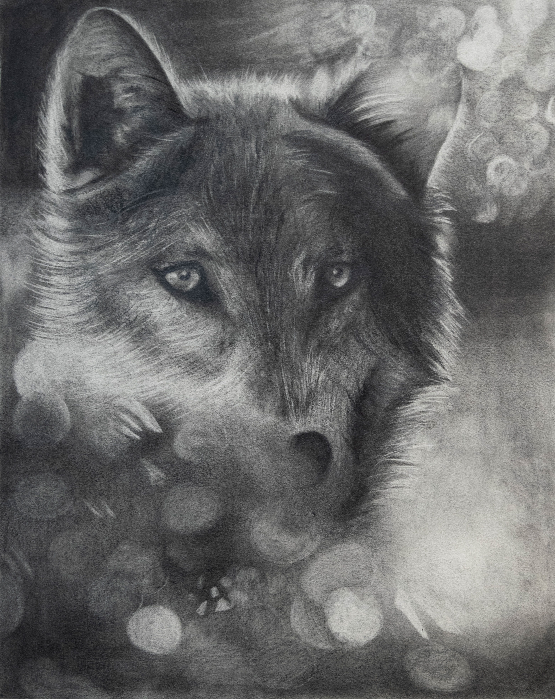 Emily Schopfer Untitled 1 (Graphite Wolf), 2020 Graphite 8 x 10 Section B - Breadth (Drawing 1) Categories - Drawing, Technique