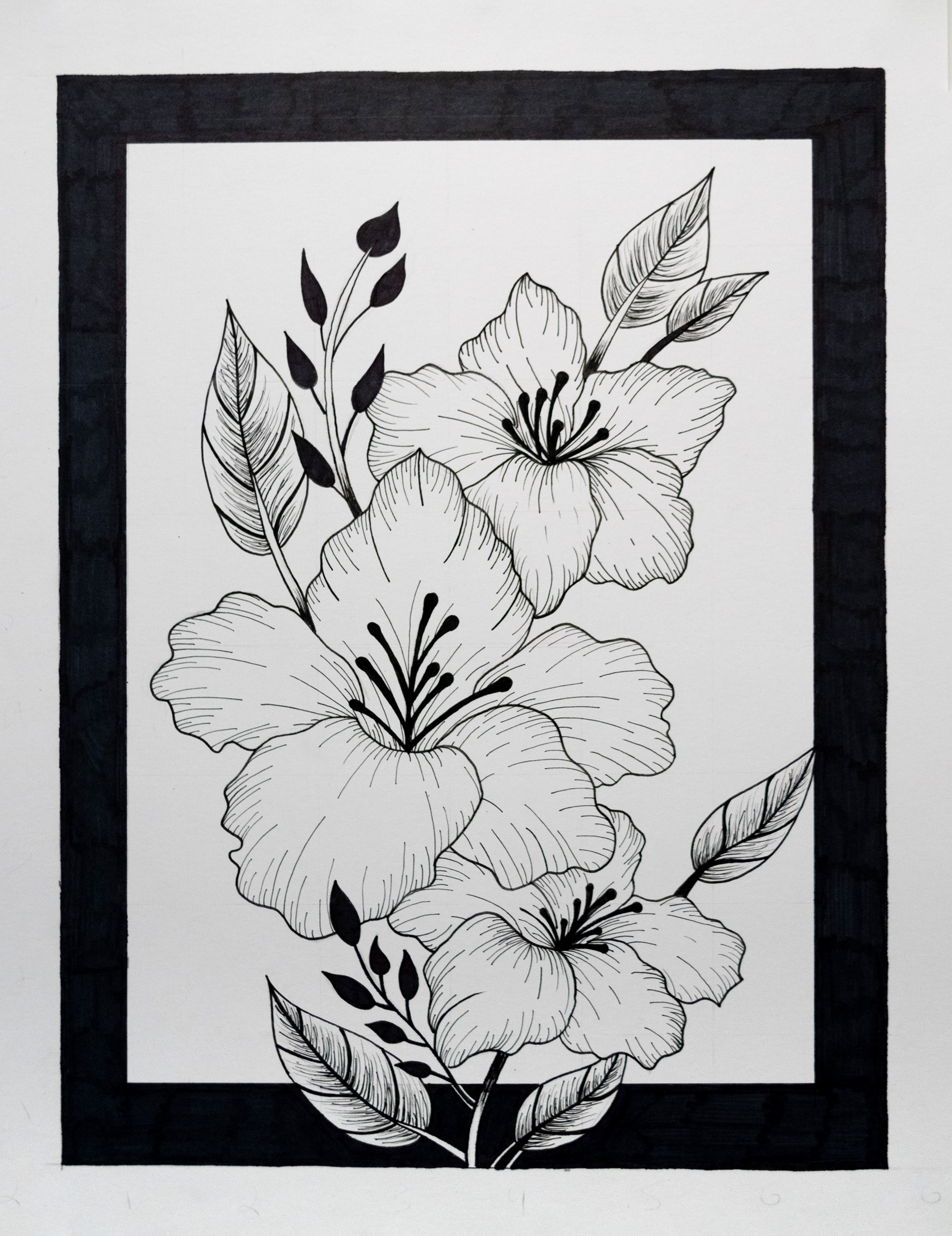 Emily Schopfer Hibiscus, 2020 Micron Pen on Bristol Board 10 1⁄2 x 13 1⁄2 Section B - Breadth (Basic Design and Composition) Category - Composition/Design (Asymmetry, Line, Emphasis)