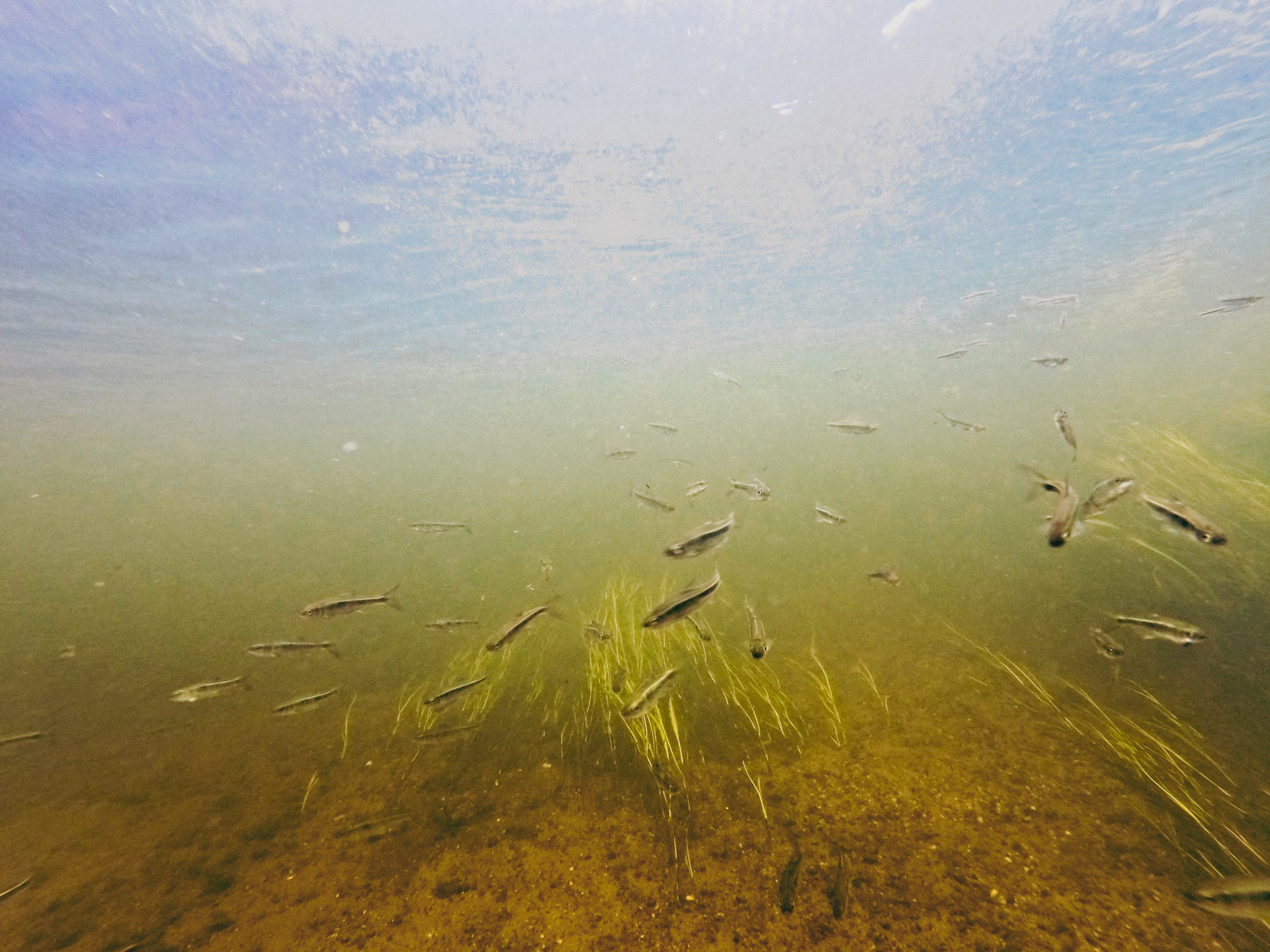 DCIM\100GOPRO\GOPR0119.JPG