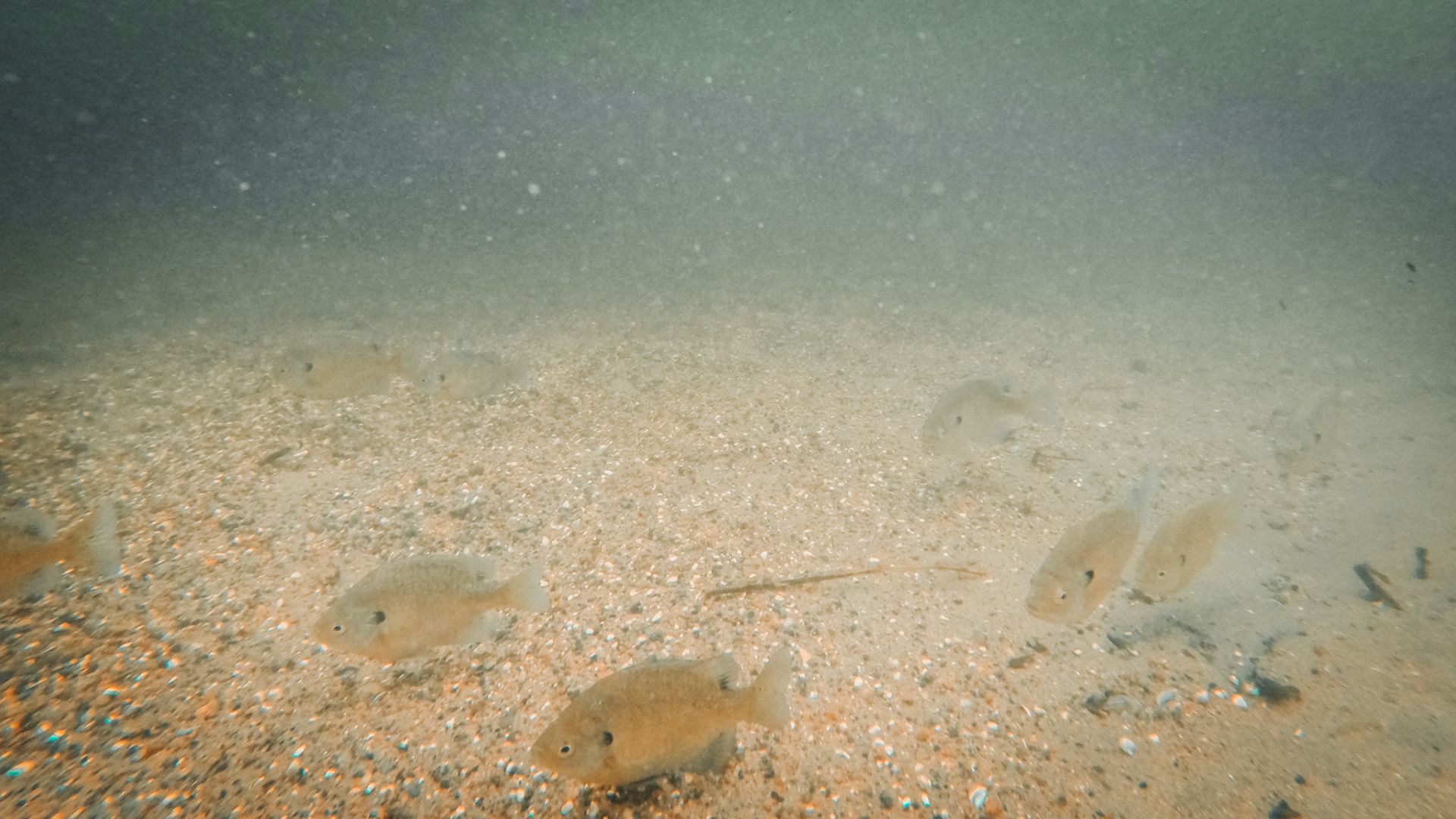 DCIM\100GOPRO\GOPR0179.JPG