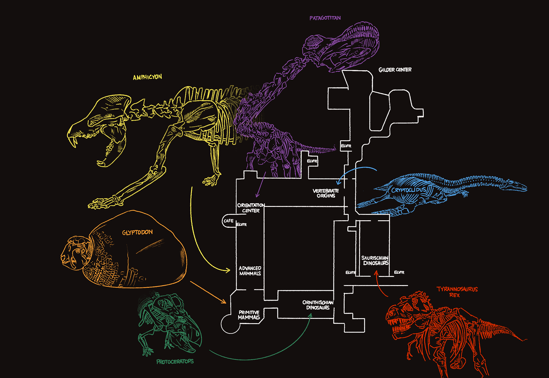 AMNH Map - Fourth Floor (2025)