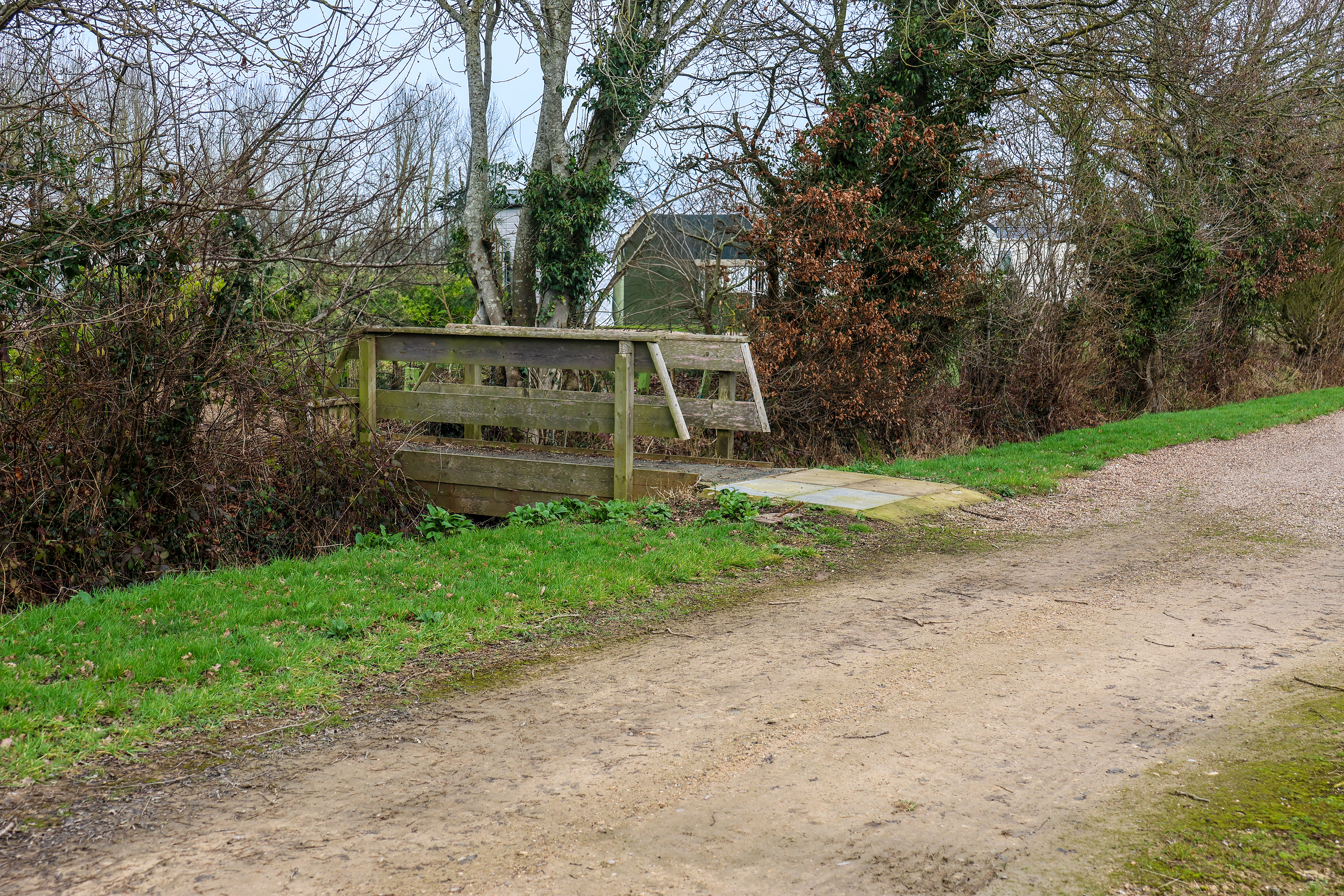 The Bridge