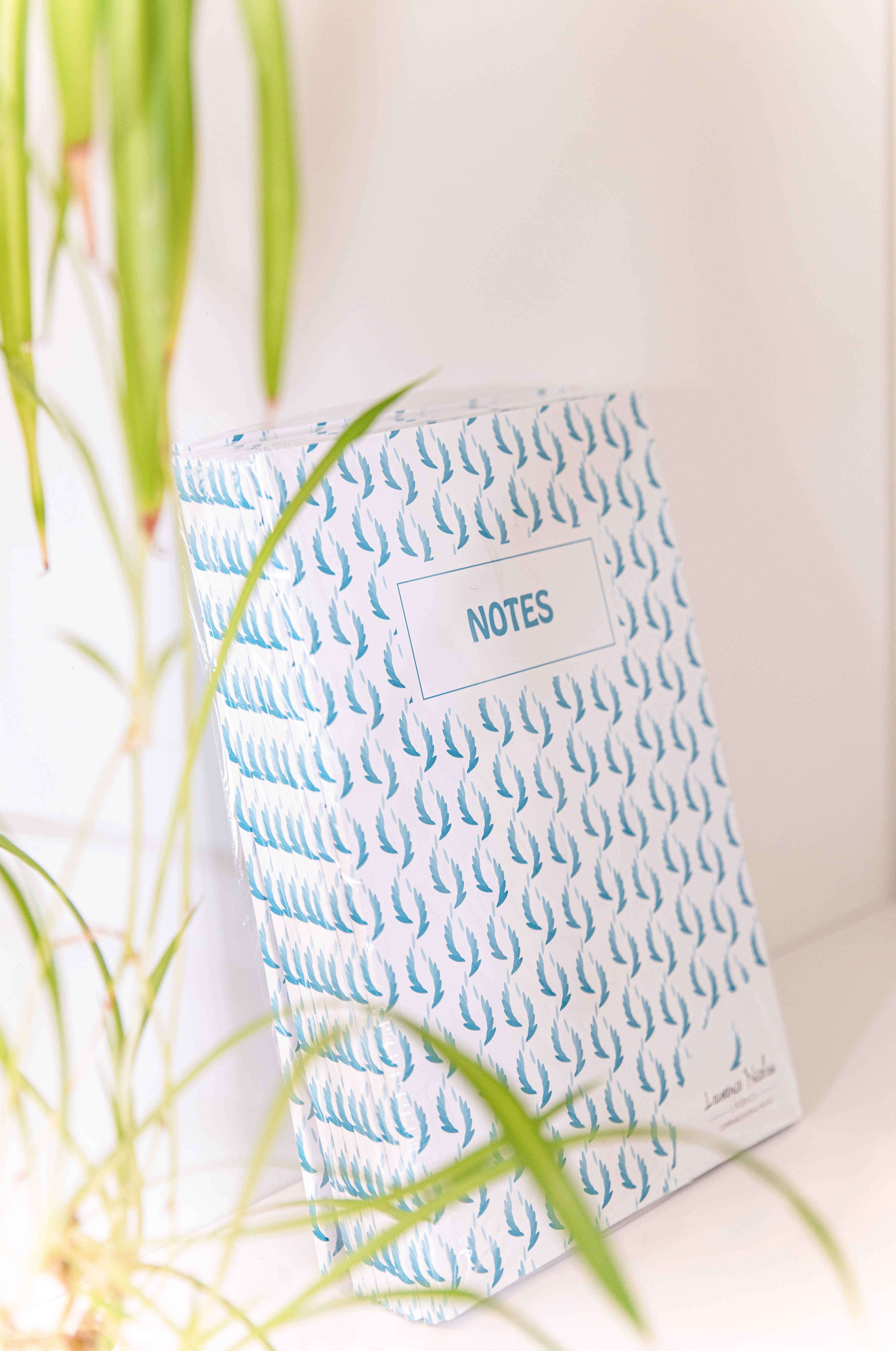 Agence Laurence Nicolas