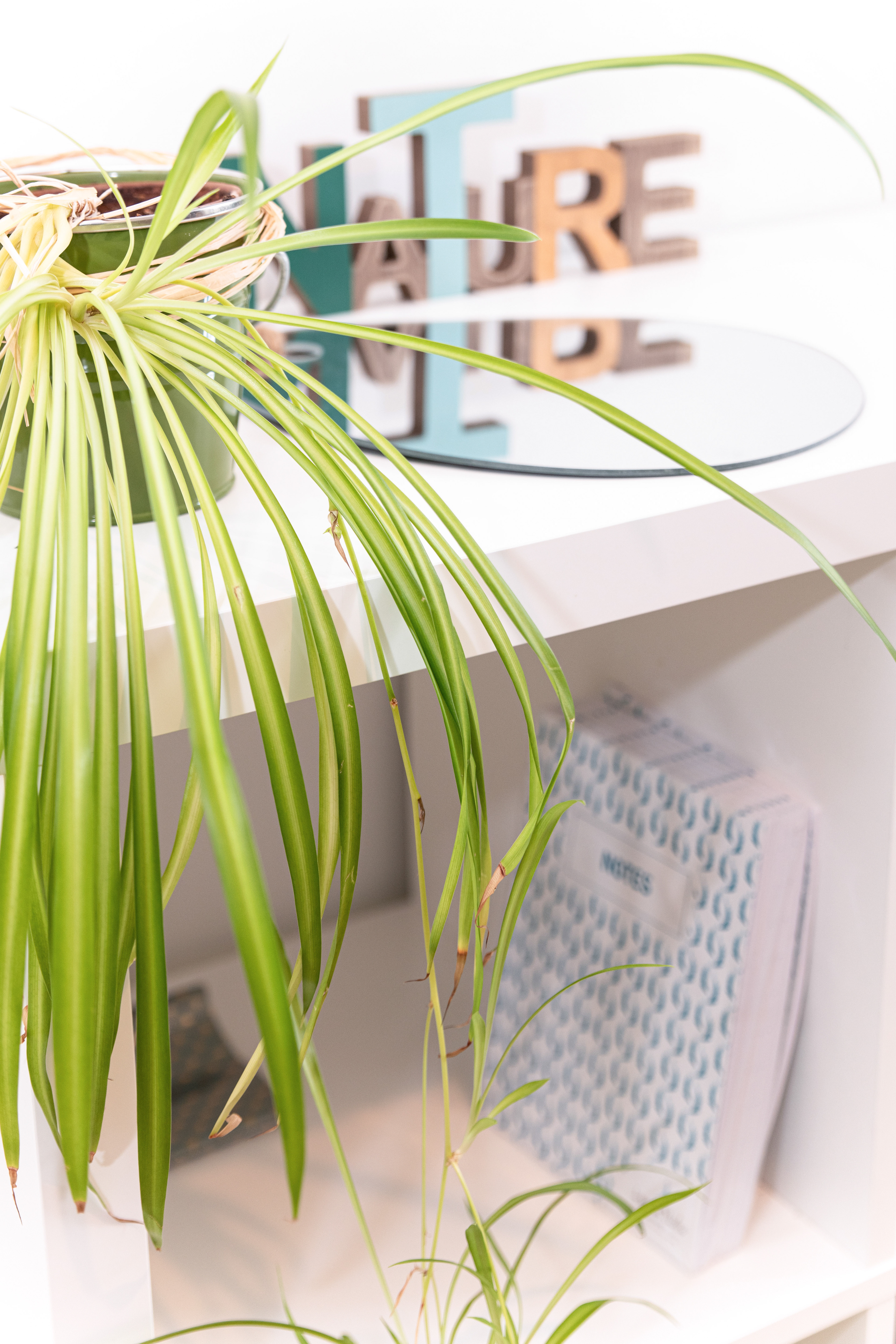 Agence Laurence Nicolas