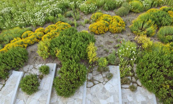 tuin nabij madrid door tom stuart-smith