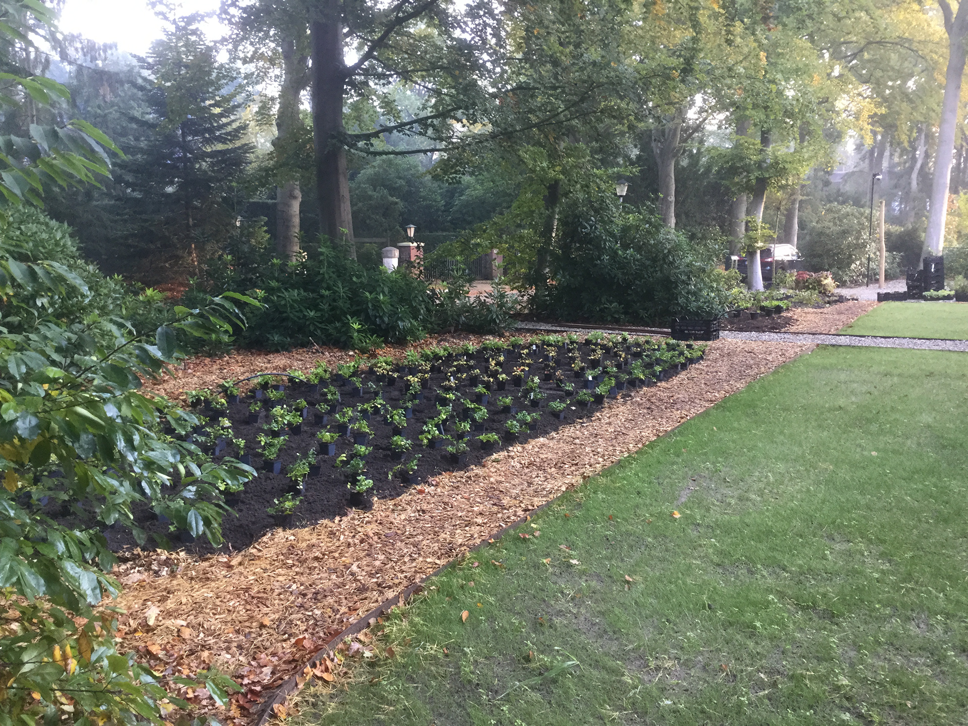 een border net ingeplant - herfst 2020