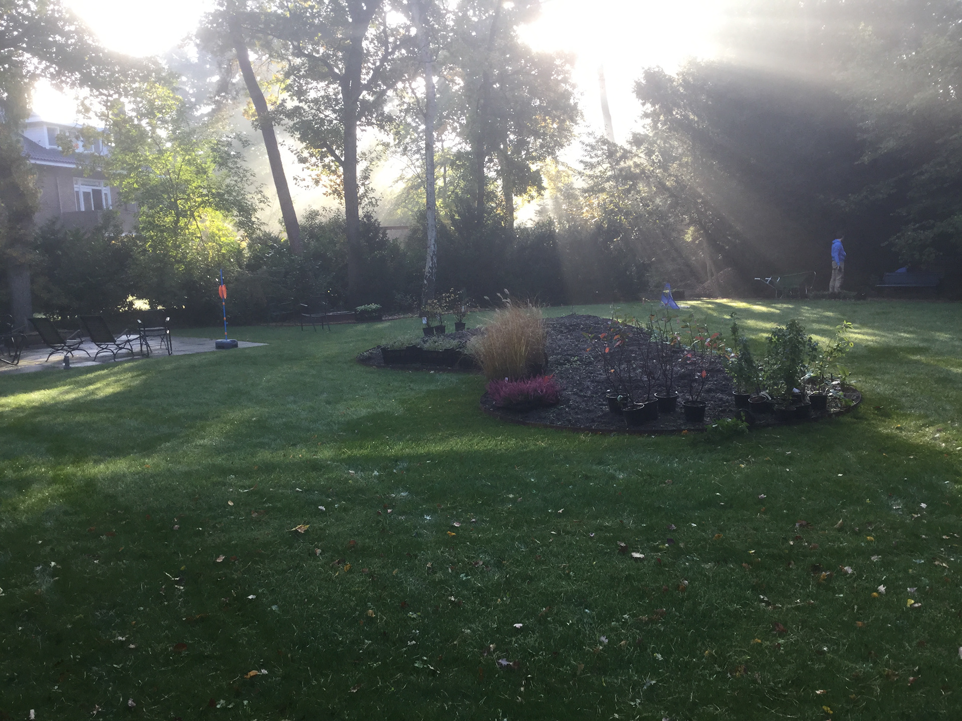 één van de planteneilanden - herfst 2020