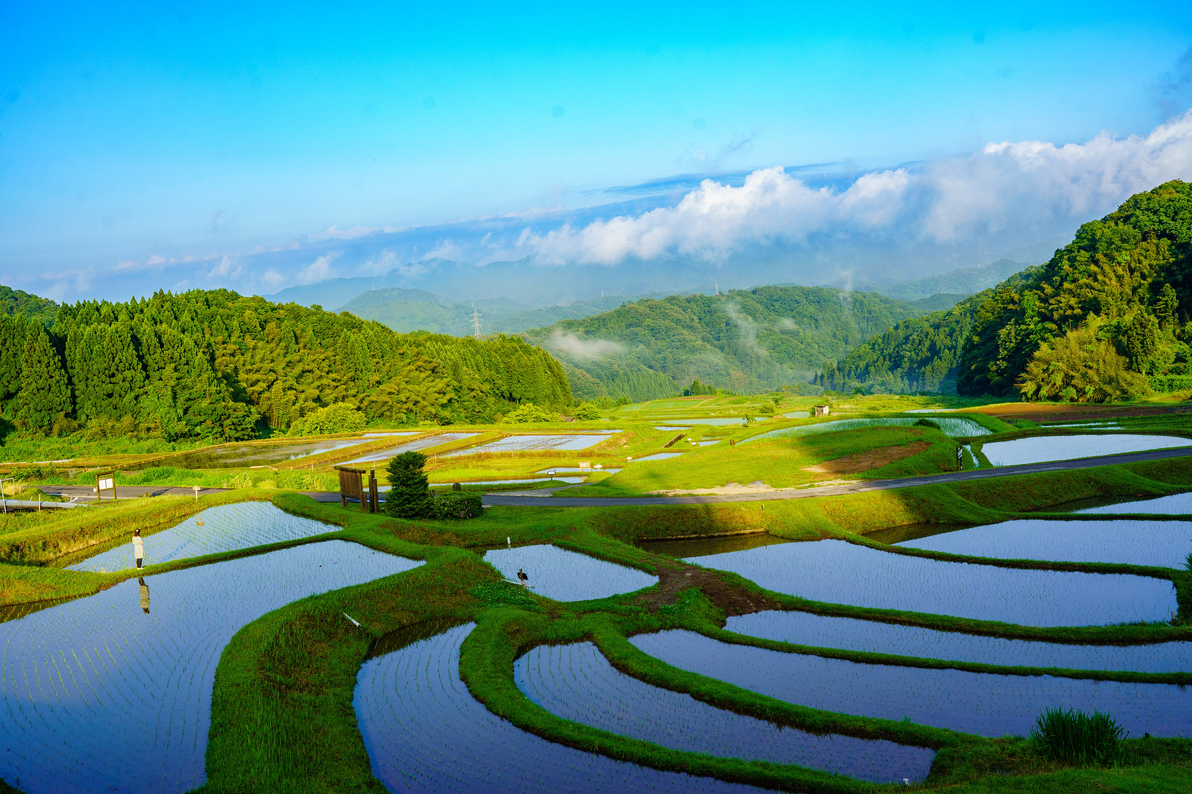 島根/山王時の棚田