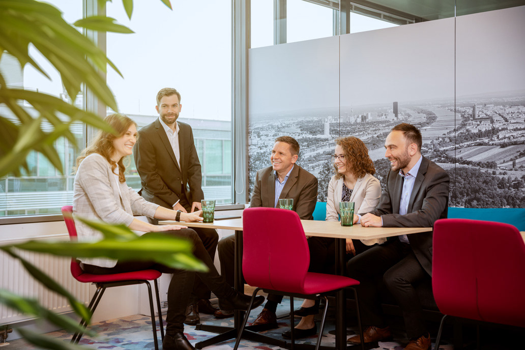 Phoron - SAP Consulting GmbH