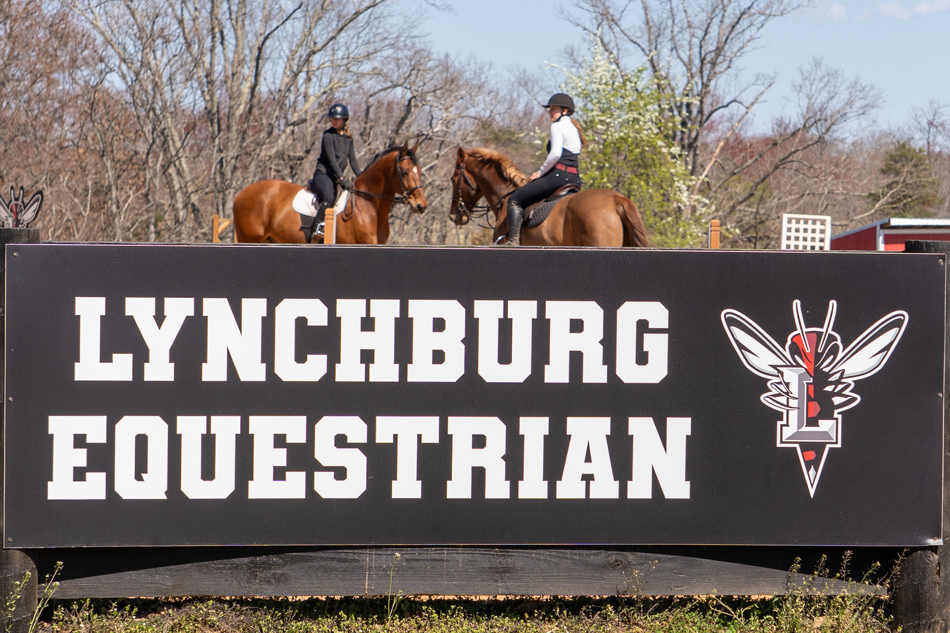 2b69dd7d-aa14-4fe3-9d34-6e8fc06974f6_rw_1920.JPG?h=a00e7c78a70d7f905c286d6681a3ad93