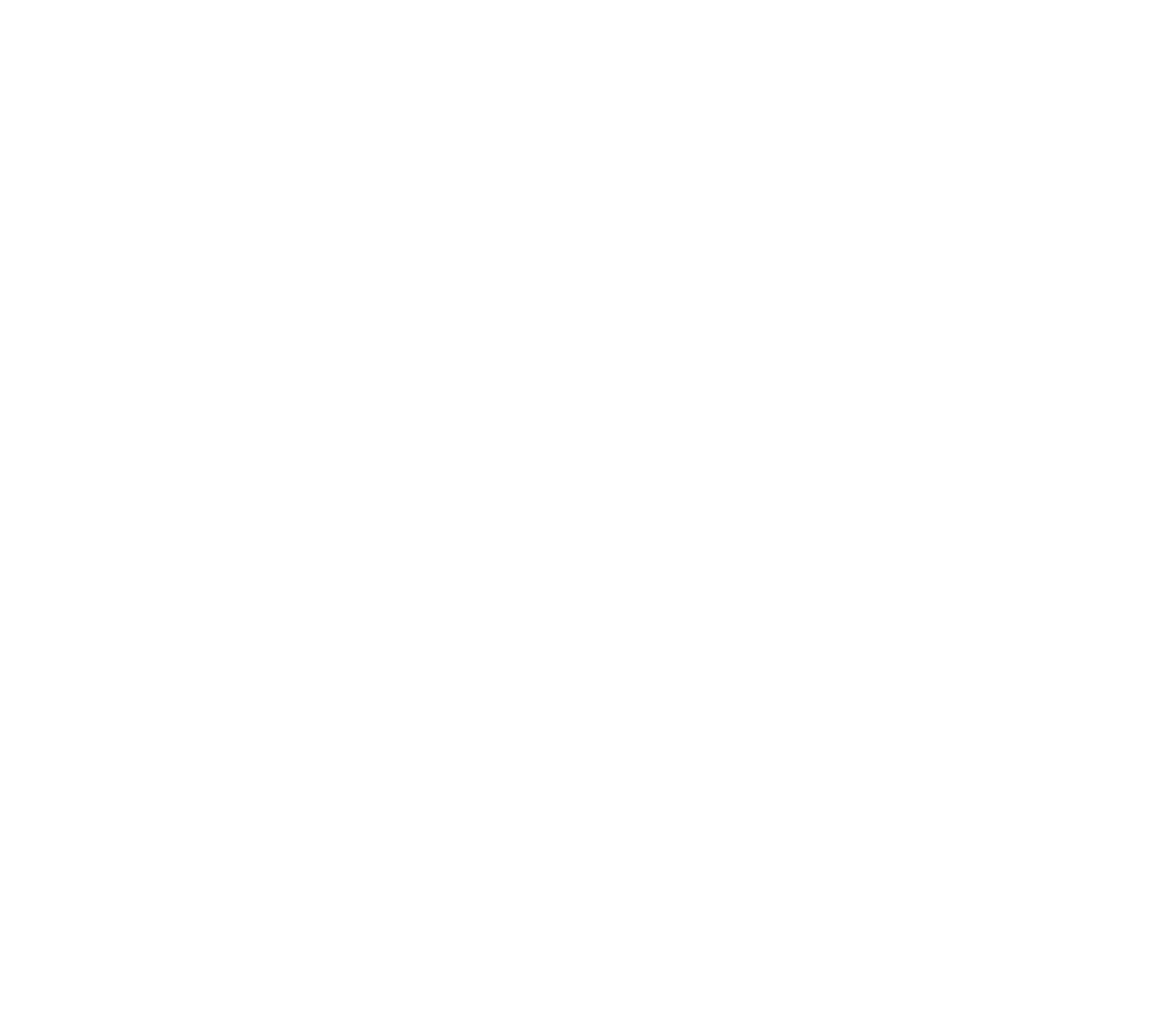 Viviana Rishe