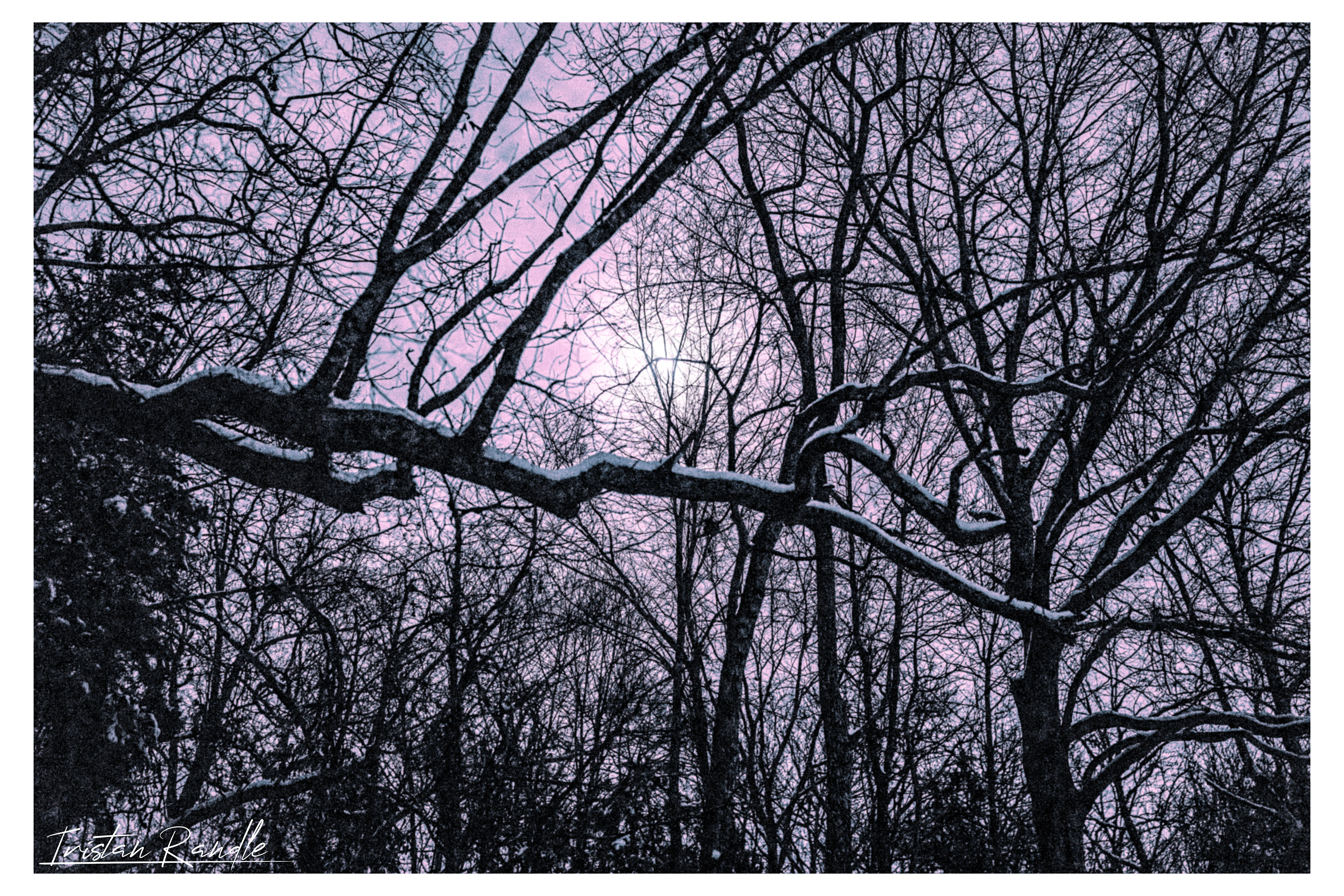 /Frostbourne/