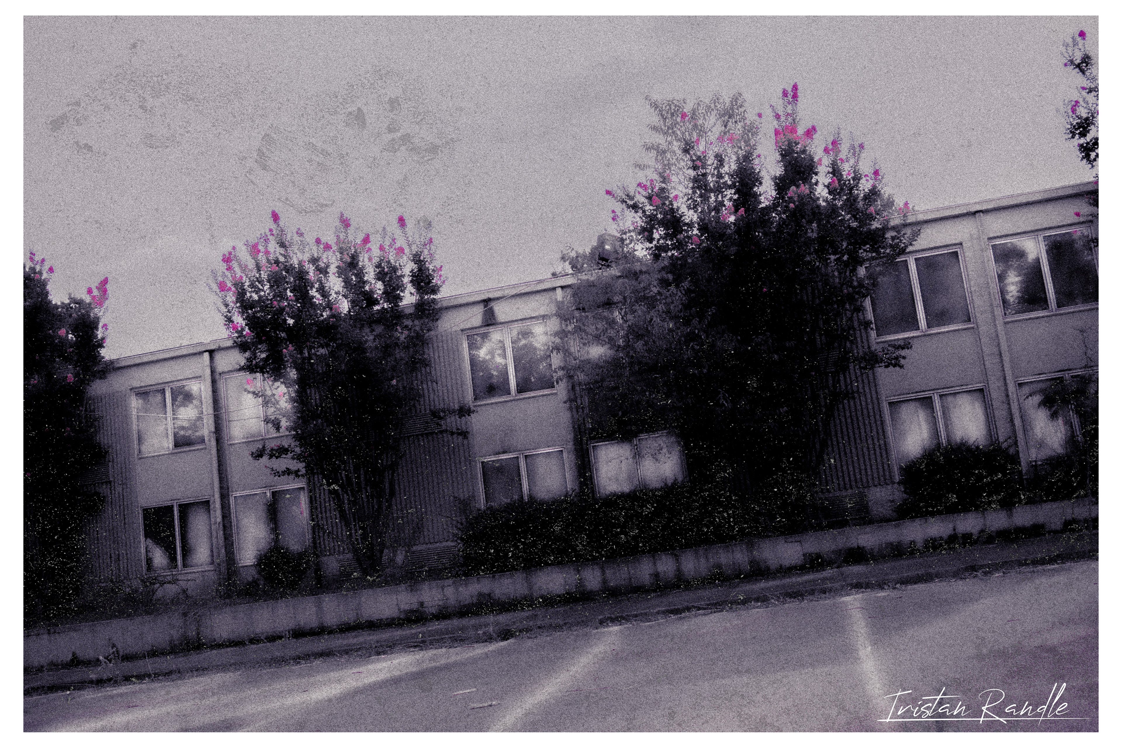 /That Place Lost in Your Sleep/4/