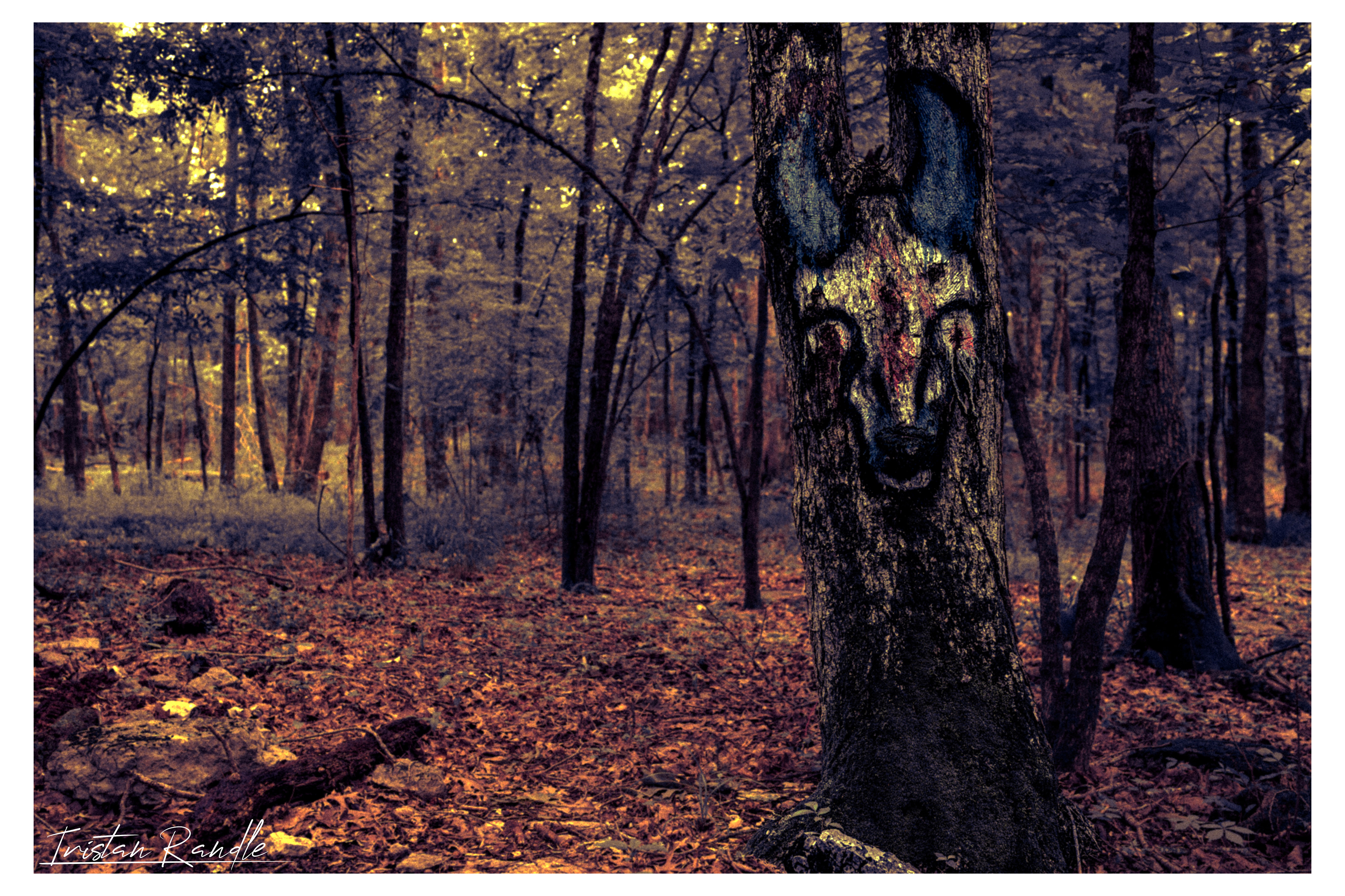 /Effigy II/