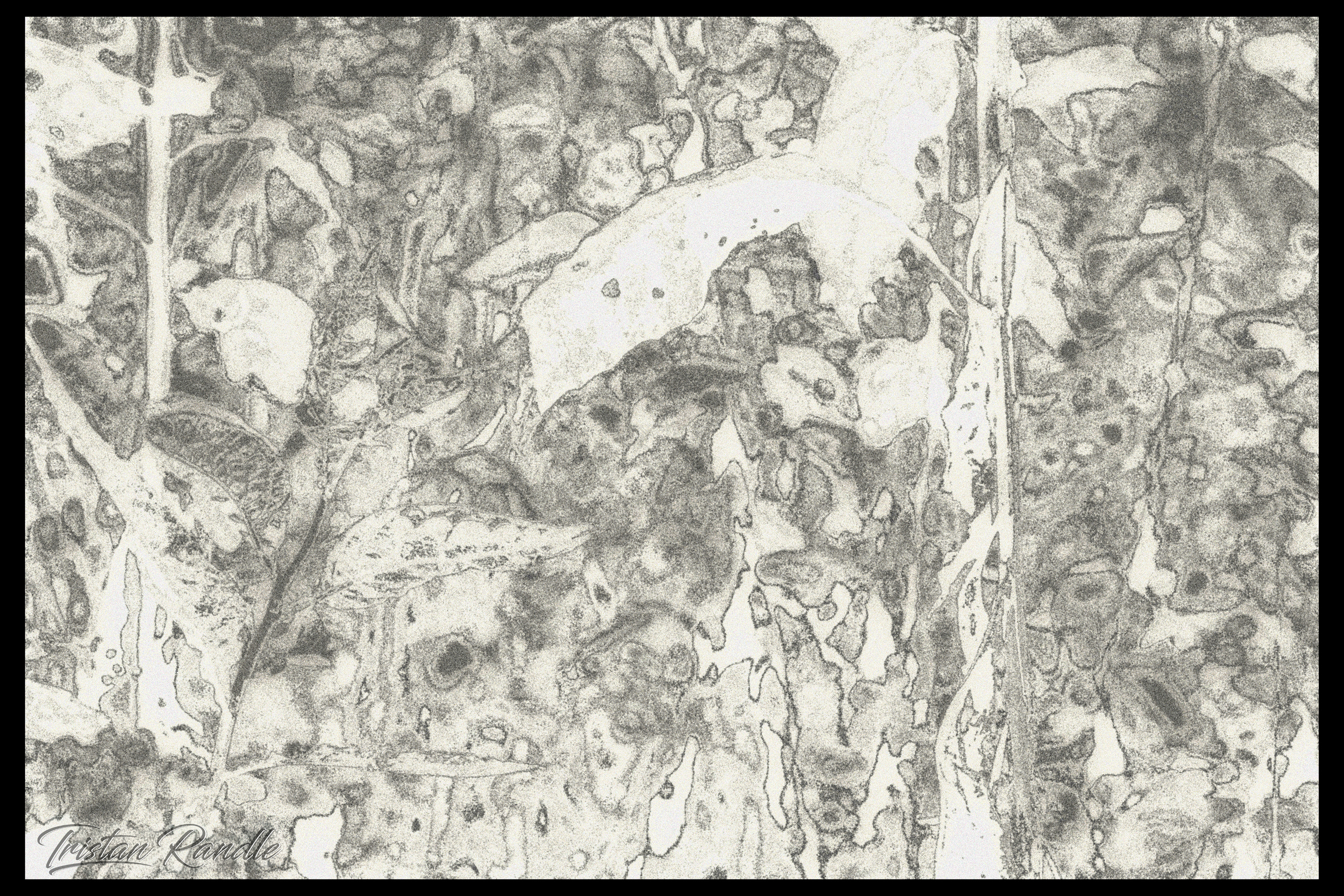 /The Indefinite Abstract 2/
