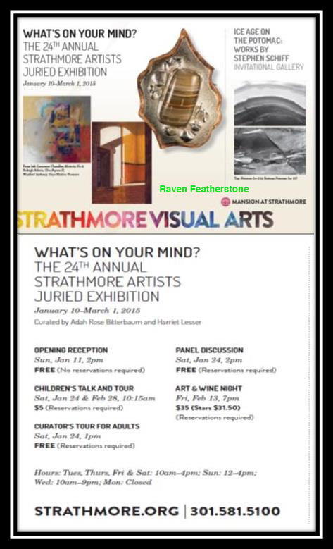 Juried Art Exhibition at the Strathmore (My artwork showed)