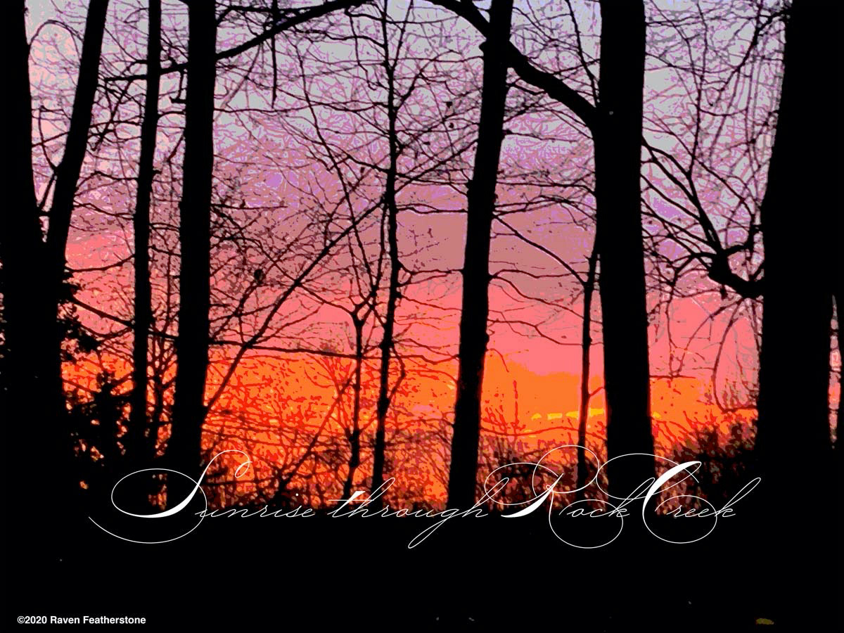 "Sunrise Through Rock Creek", 2020