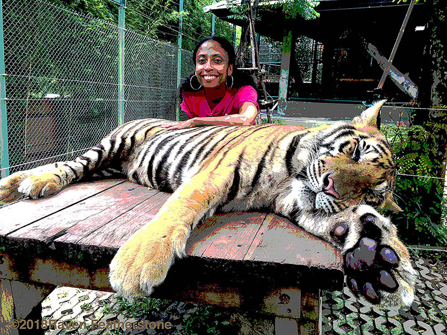 "Self-Portrait: Tiger Kingdom"  20”x24” Digital Photography printed on metal, 2018 Not for Sale