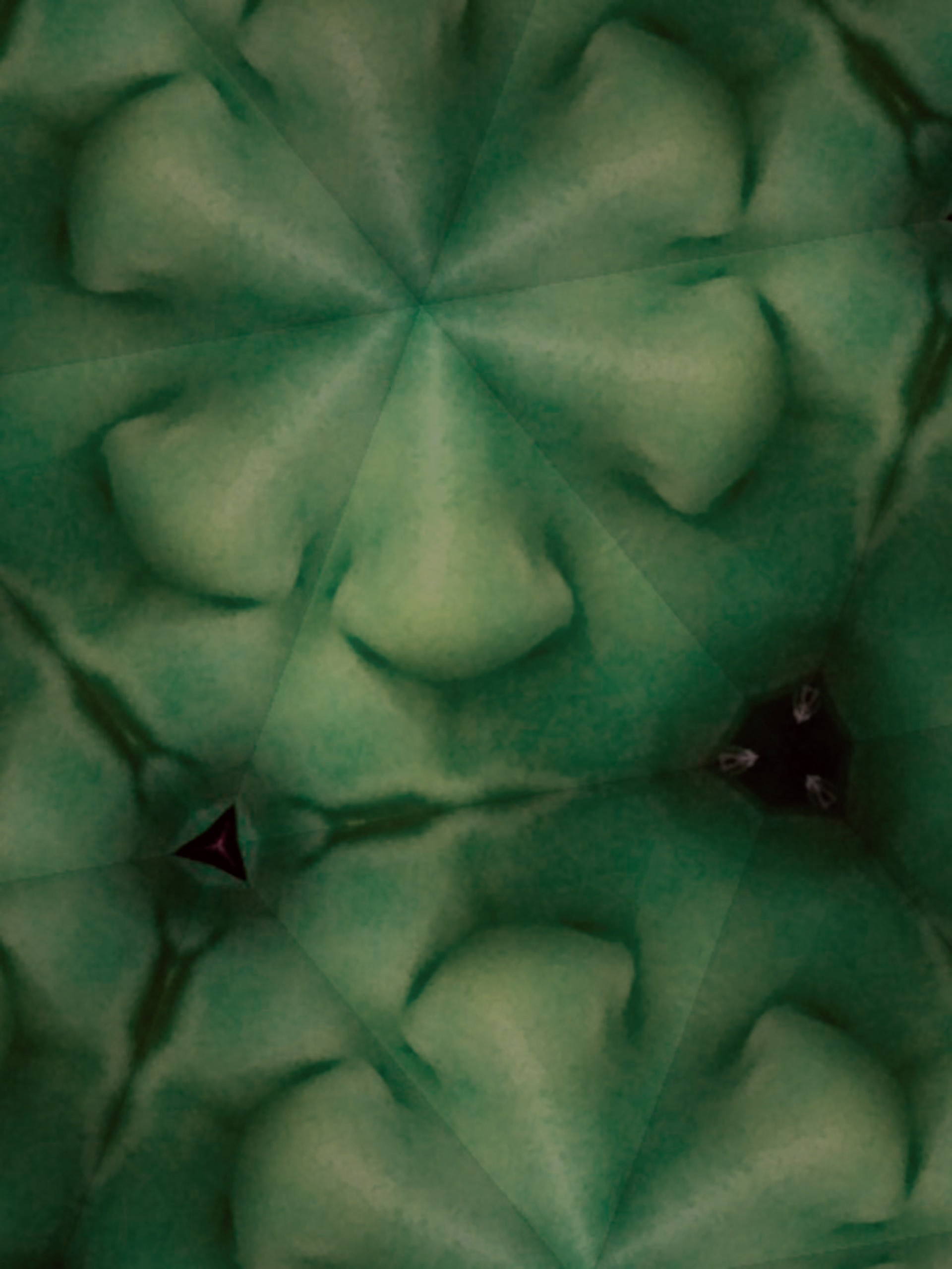 $1,500.00  "Galaxy Series 4"  38"x48"  Digital Imagery Printed on Canvas, 2013