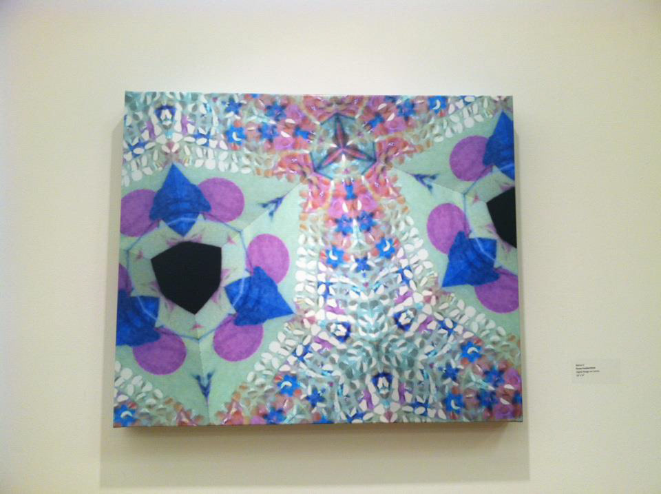 "Optical Series 2" 20" x24", Digital Imagery Printed on Canvas, 2012