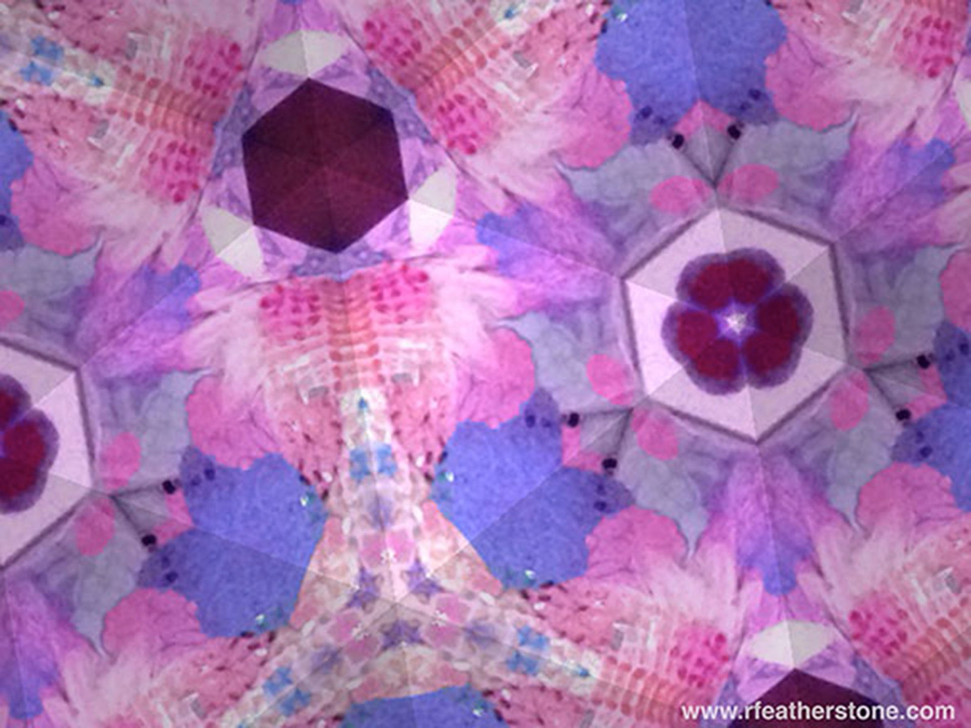 "Optical Series 1" 20" x24", Digital Imagery Printed on Canvas, 2012