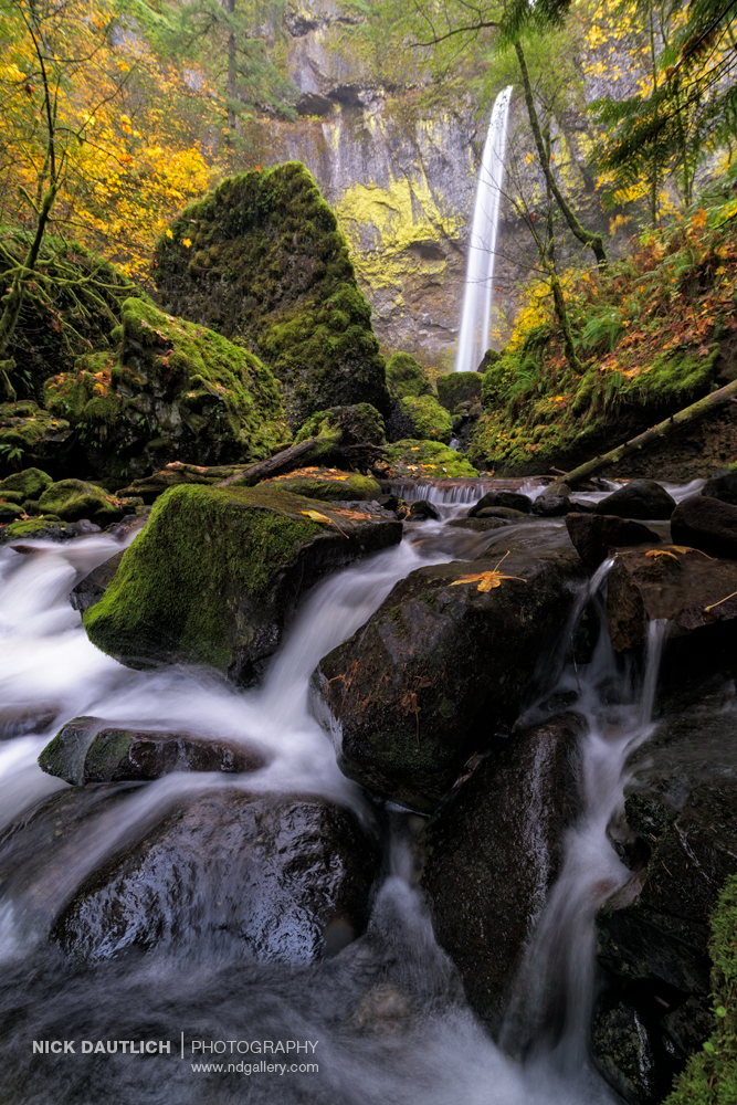 Autumn colours in stream with orange leaves and waterfall