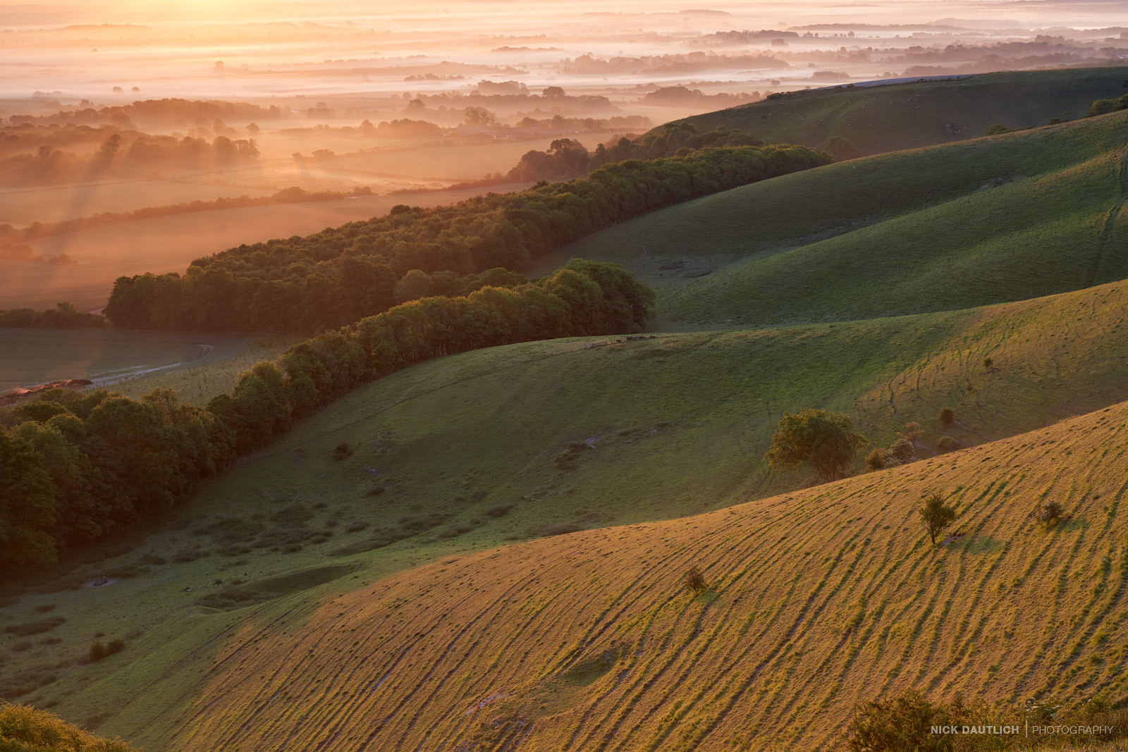 Misty sunrise over Sussex