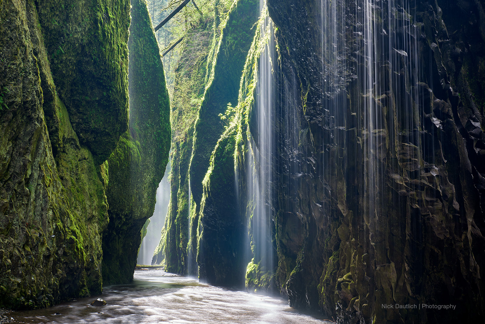 Green gorge with water flowing down walls