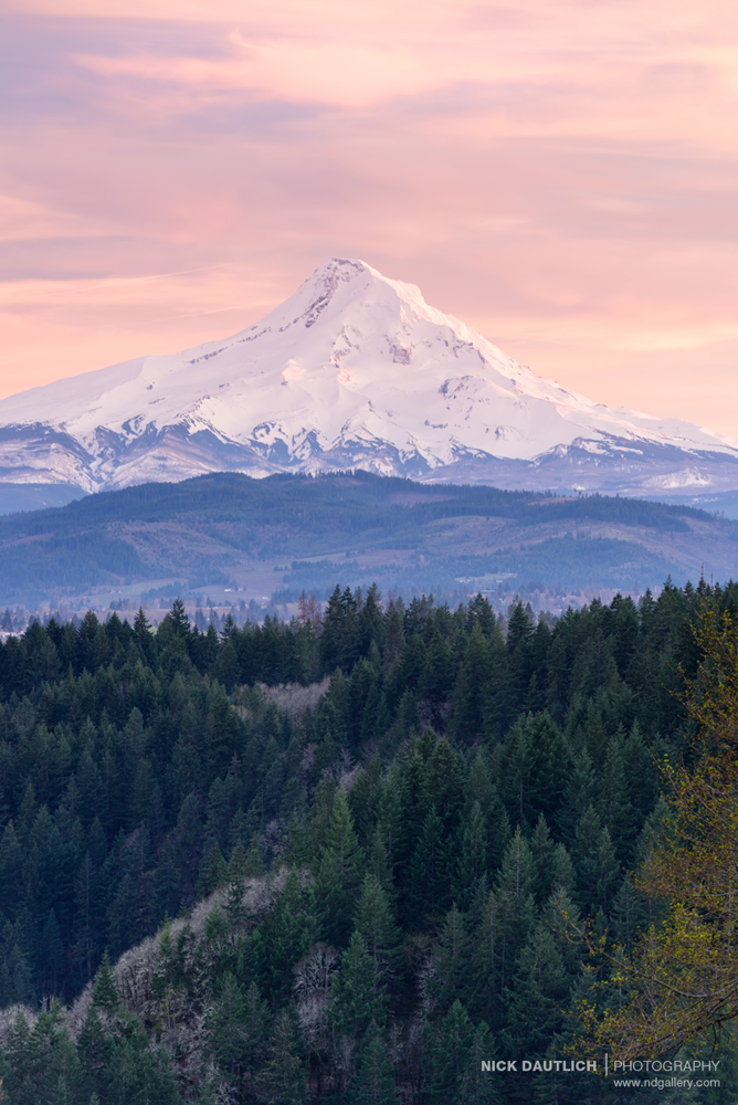Pink skies during sunset over mountain peak in Washington USA