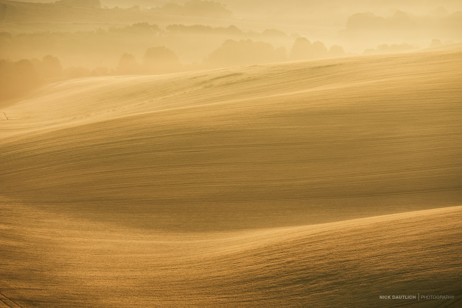 Misty light Sussex glowing golden colours at sunrise